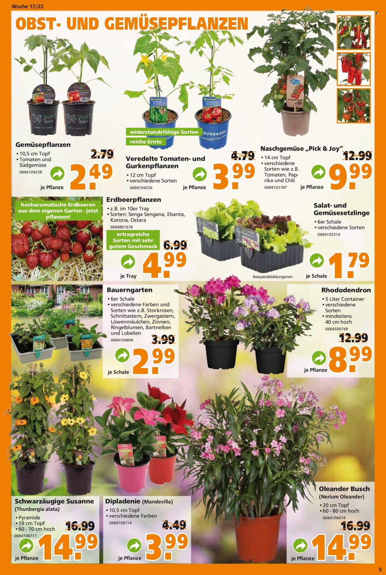 Globus Baumarkt Prospekte  - 25.04.2022 - 30.04.2022. Seite 5