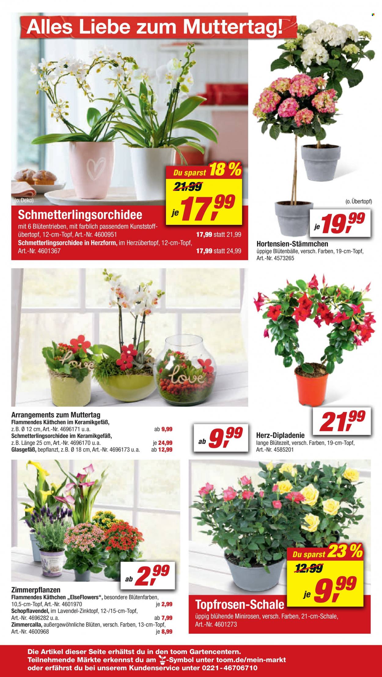 toom Baumarkt Prospekte  - 30.04.2022 - 6.05.2022. Seite 2