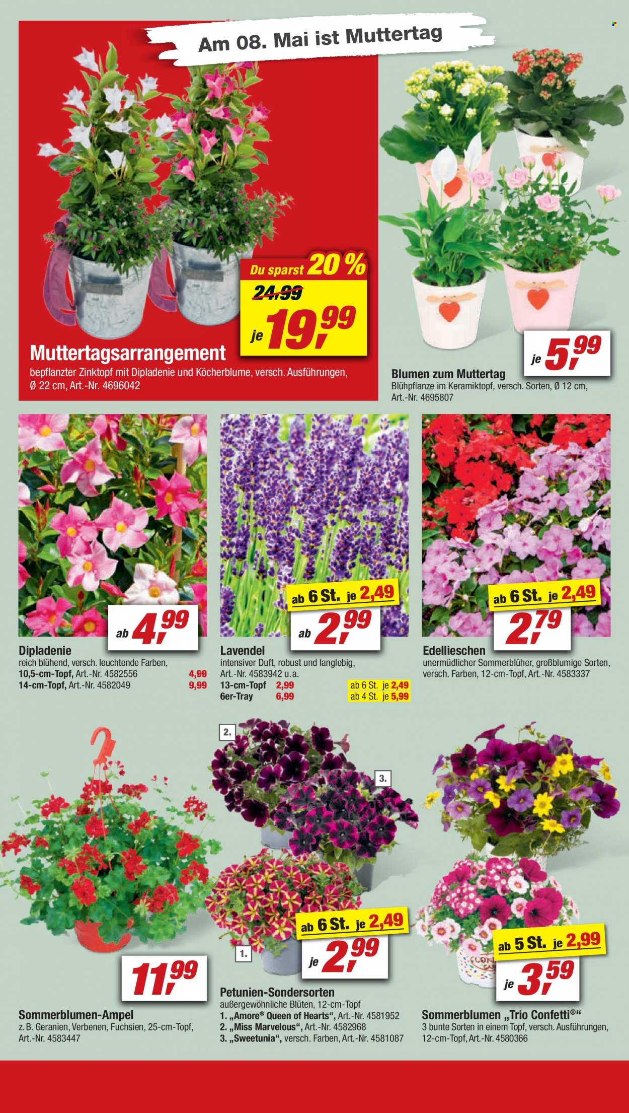 toom Baumarkt Prospekte  - 30.04.2022 - 6.05.2022. Seite 6