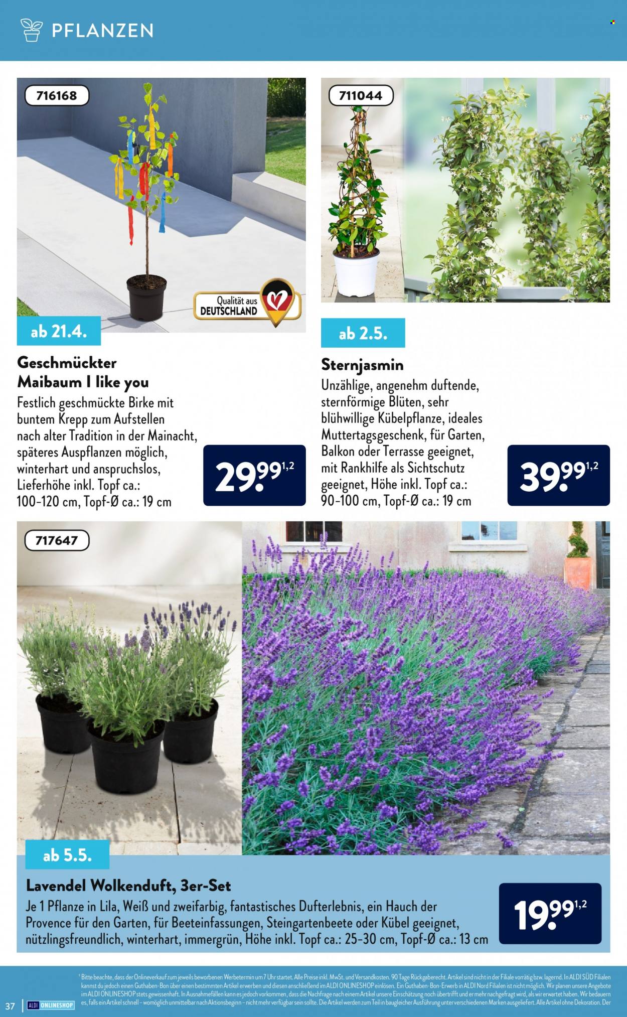 ALDI SÜD Prospekte . Seite 37