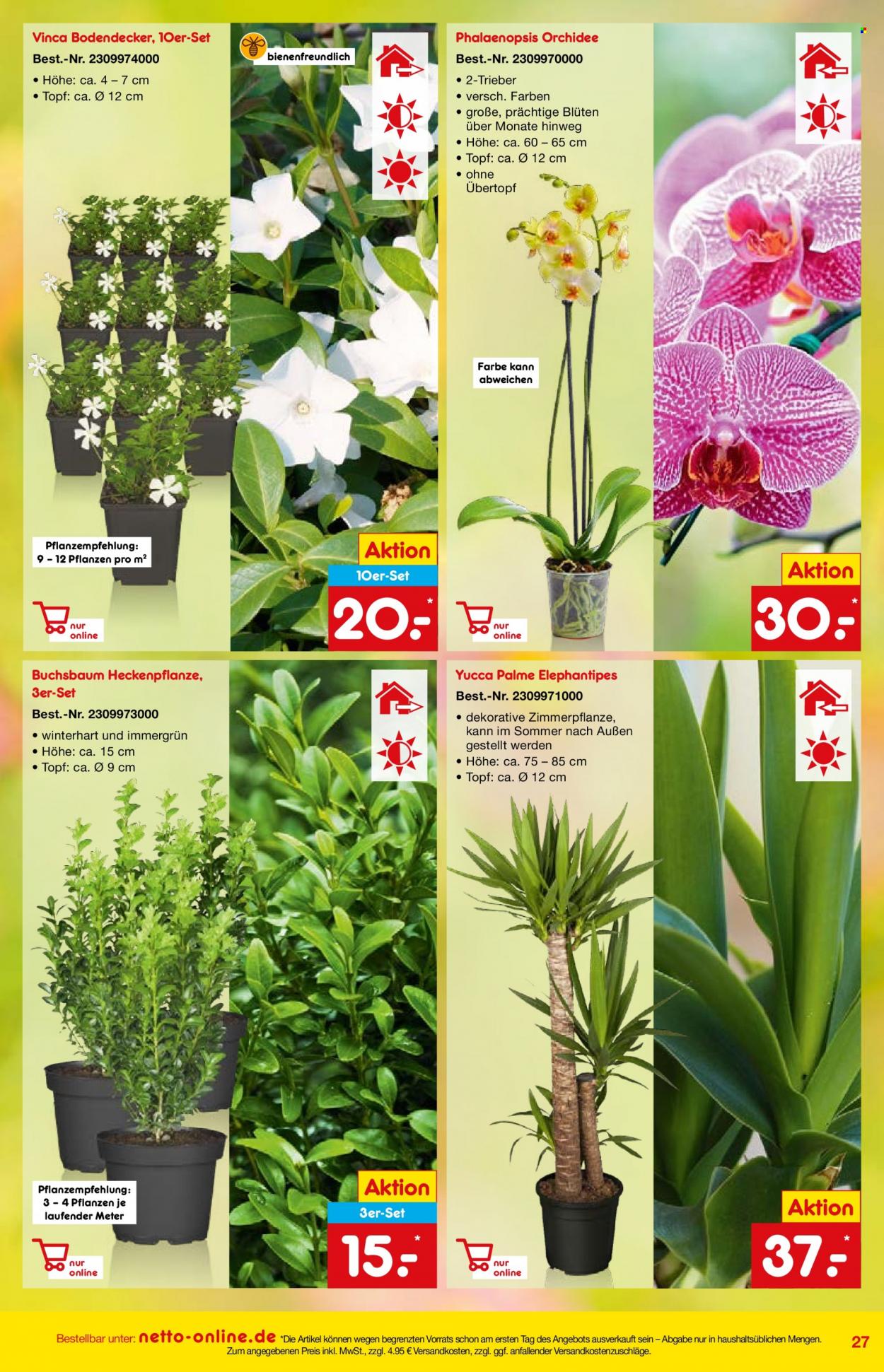 thumbnail - Prospekte Netto Marken-Discount - 1.05.2022 - 27.05.2022 - Produkte in Aktion - Orchidee, Pflanztopf. Seite 27.