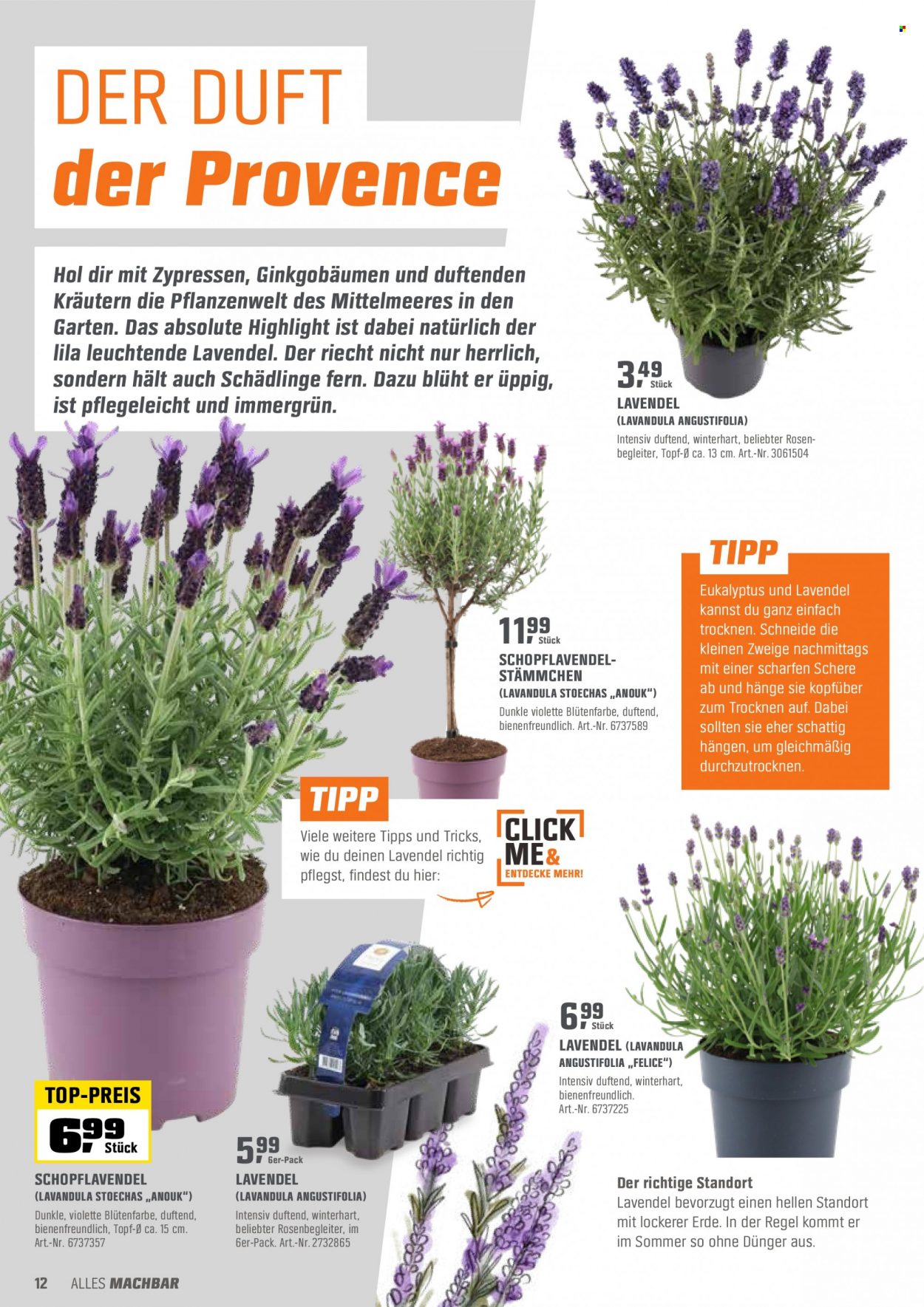 OBI Prospekte  - 29.04.2022 - 15.05.2022. Seite 12