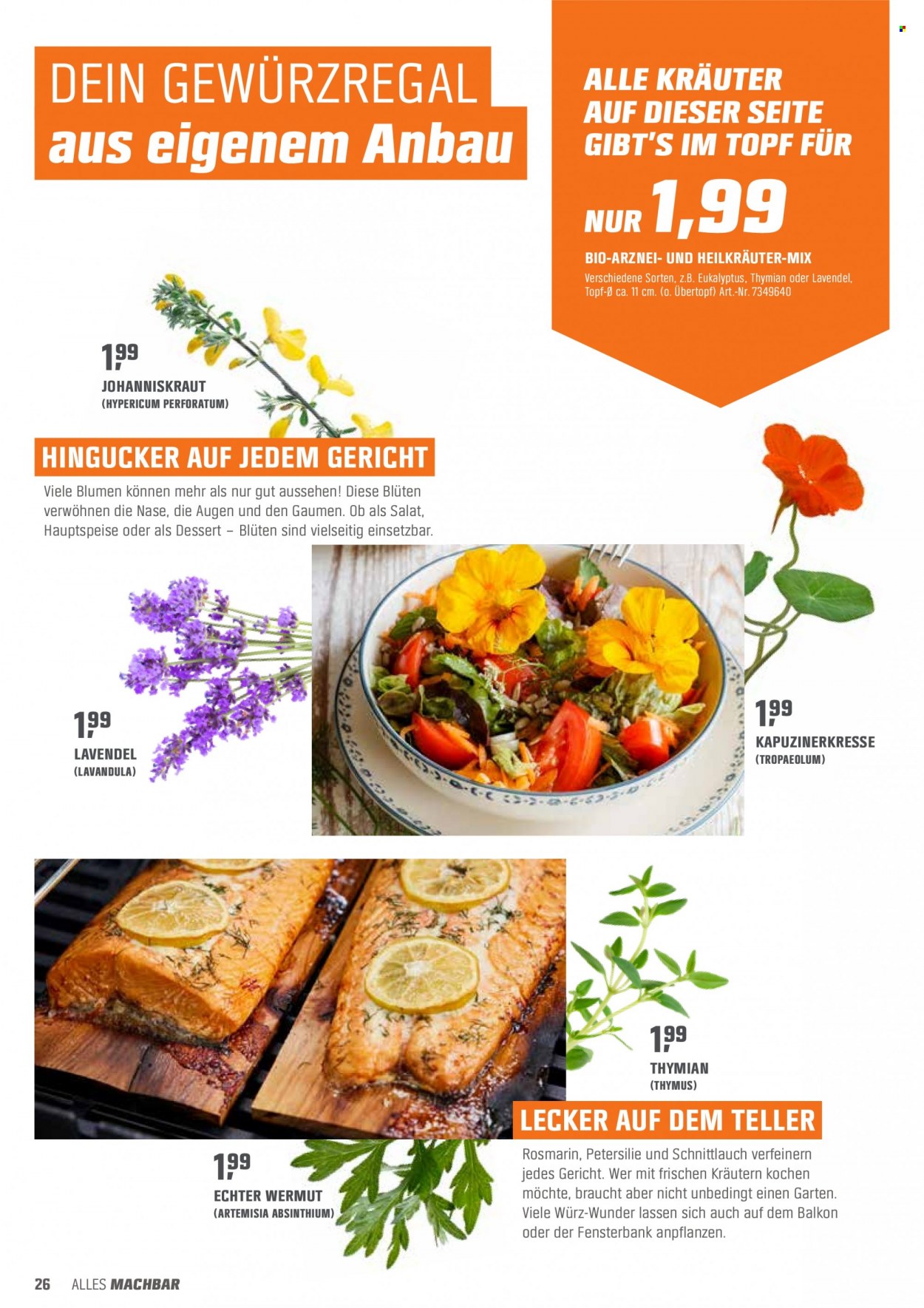 OBI Prospekte  - 29.04.2022 - 15.05.2022. Seite 26
