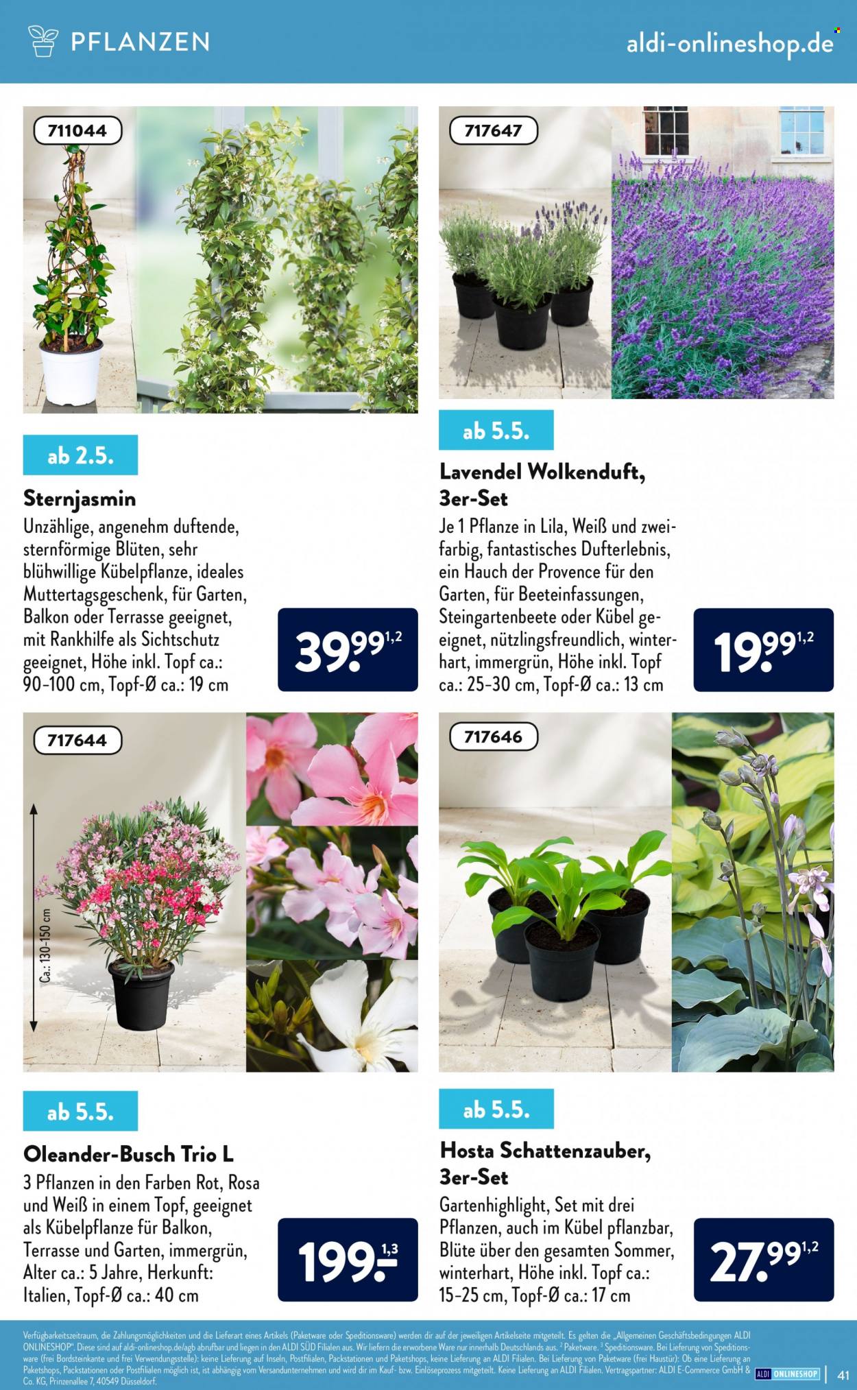 ALDI Nord Prospekte . Seite 41
