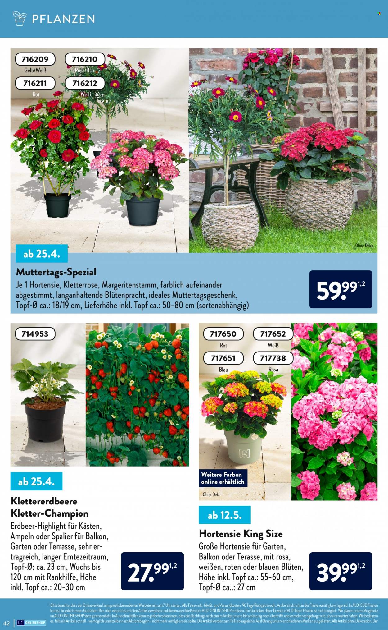 ALDI Nord Prospekte . Seite 42