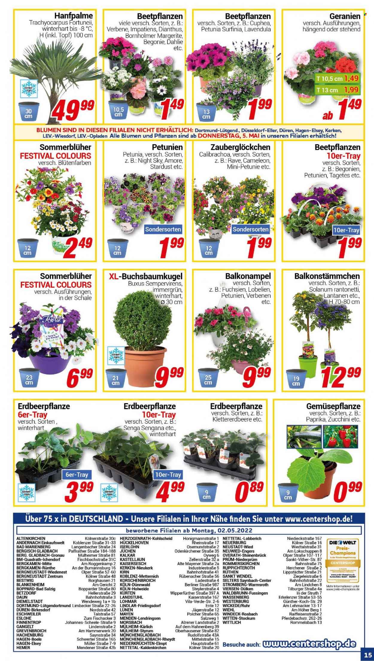 CENTERSHOP Prospekte  - 2.05.2022 - 7.05.2022. Seite 15