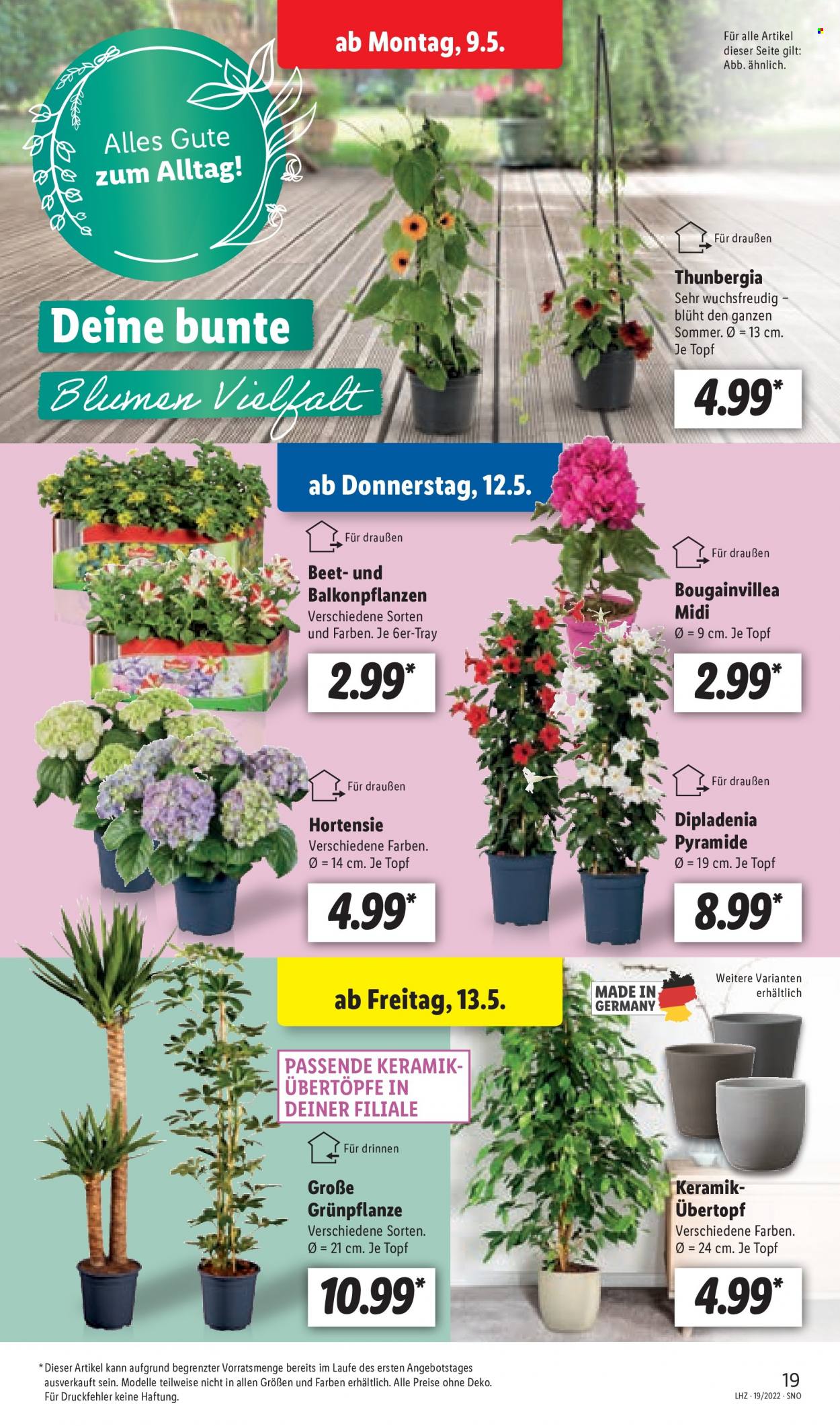 Lidl Prospekte  - 9.05.2022 - 14.05.2022. Seite 23