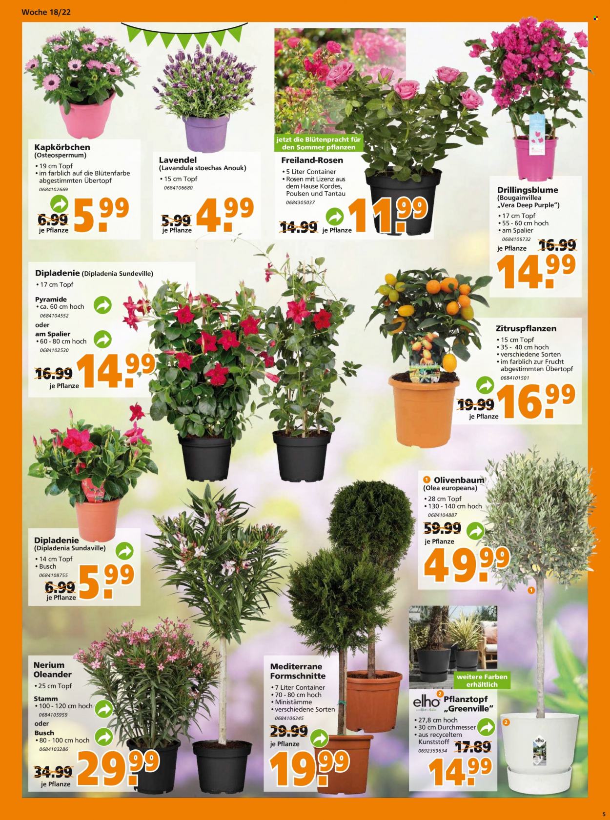 Globus Baumarkt Prospekte  - 2.05.2022 - 7.05.2022. Seite 5