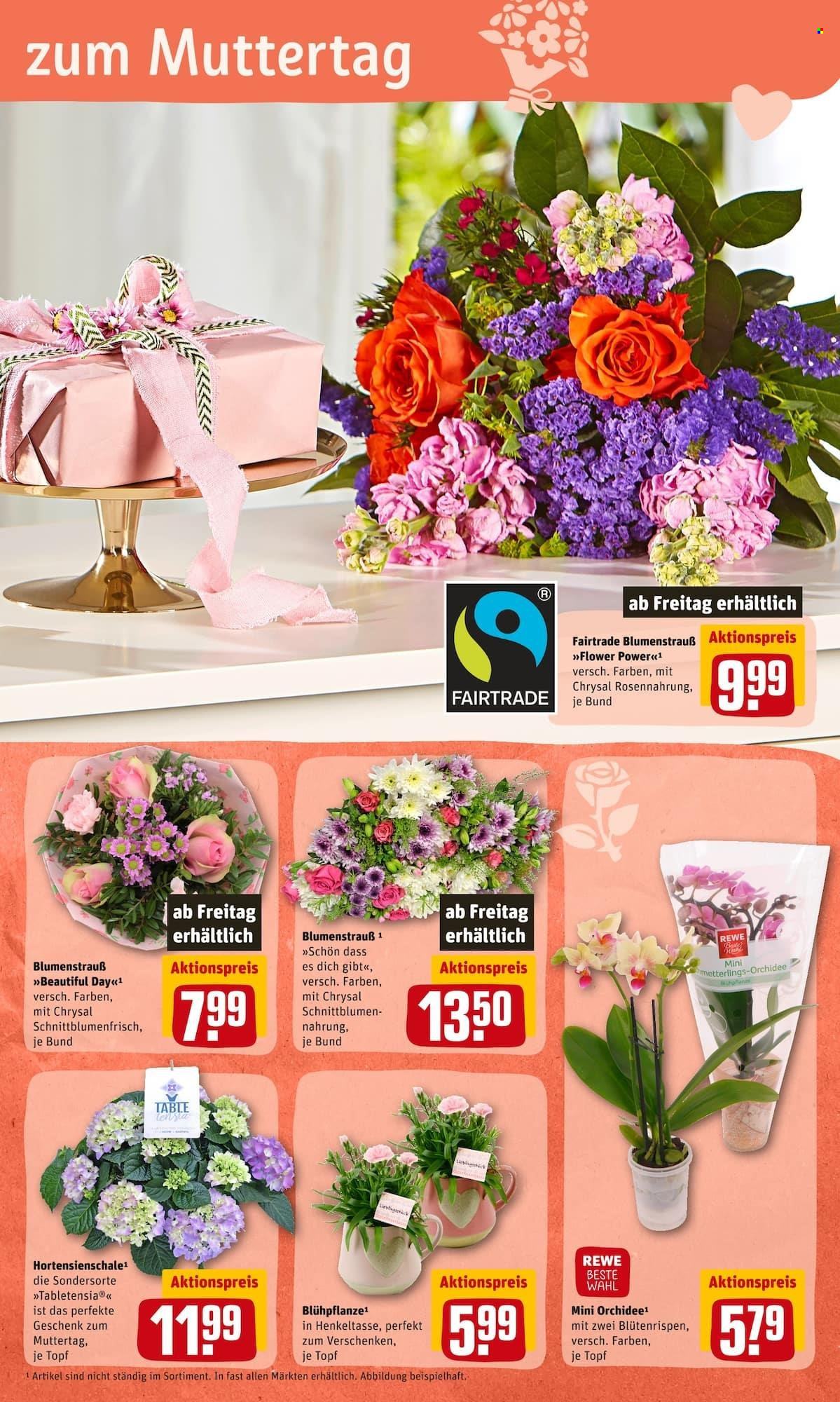 REWE Prospekte  - 2.05.2022 - 7.05.2022. Seite 5