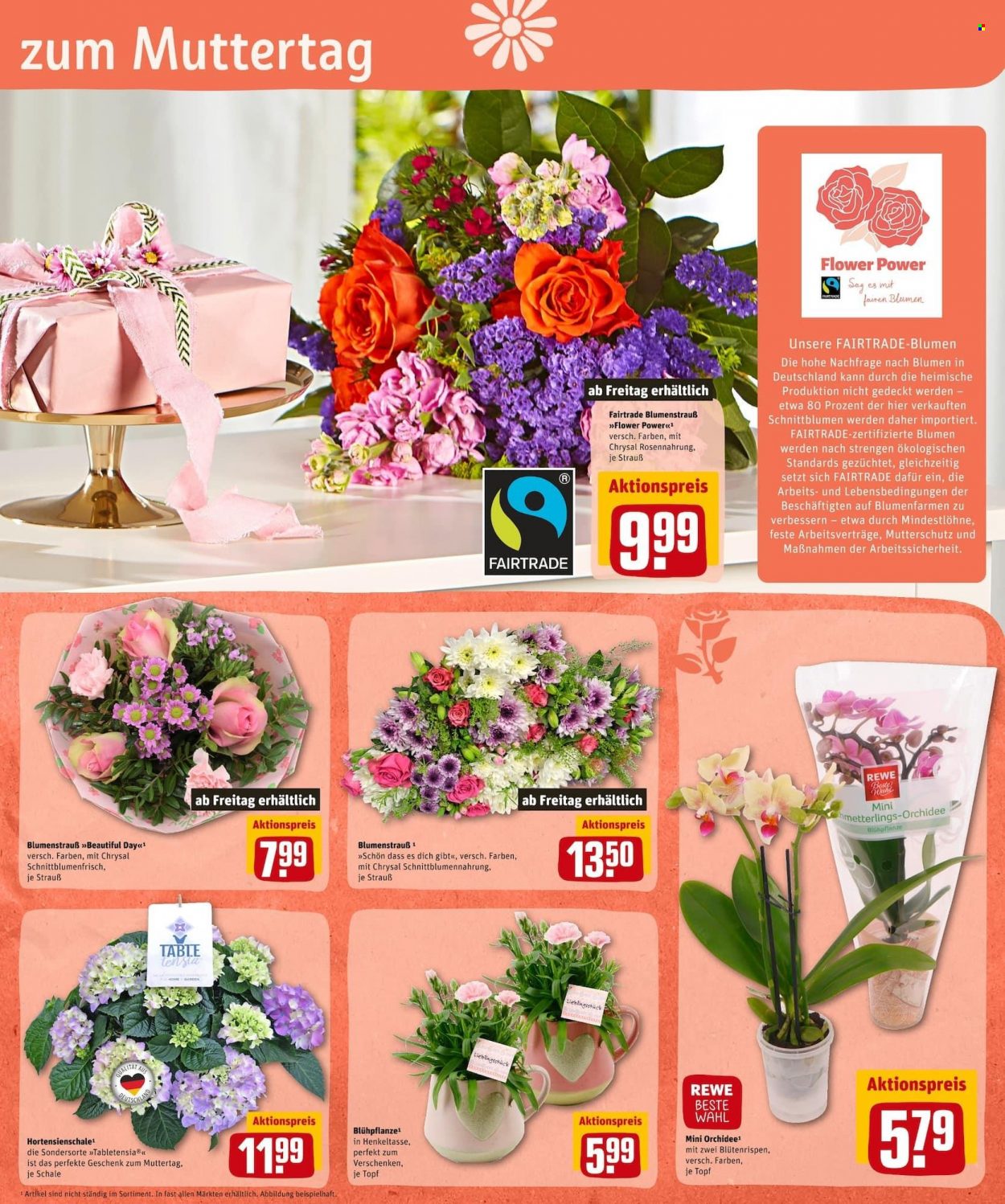 REWE Prospekte  - 2.05.2022 - 7.05.2022. Seite 5