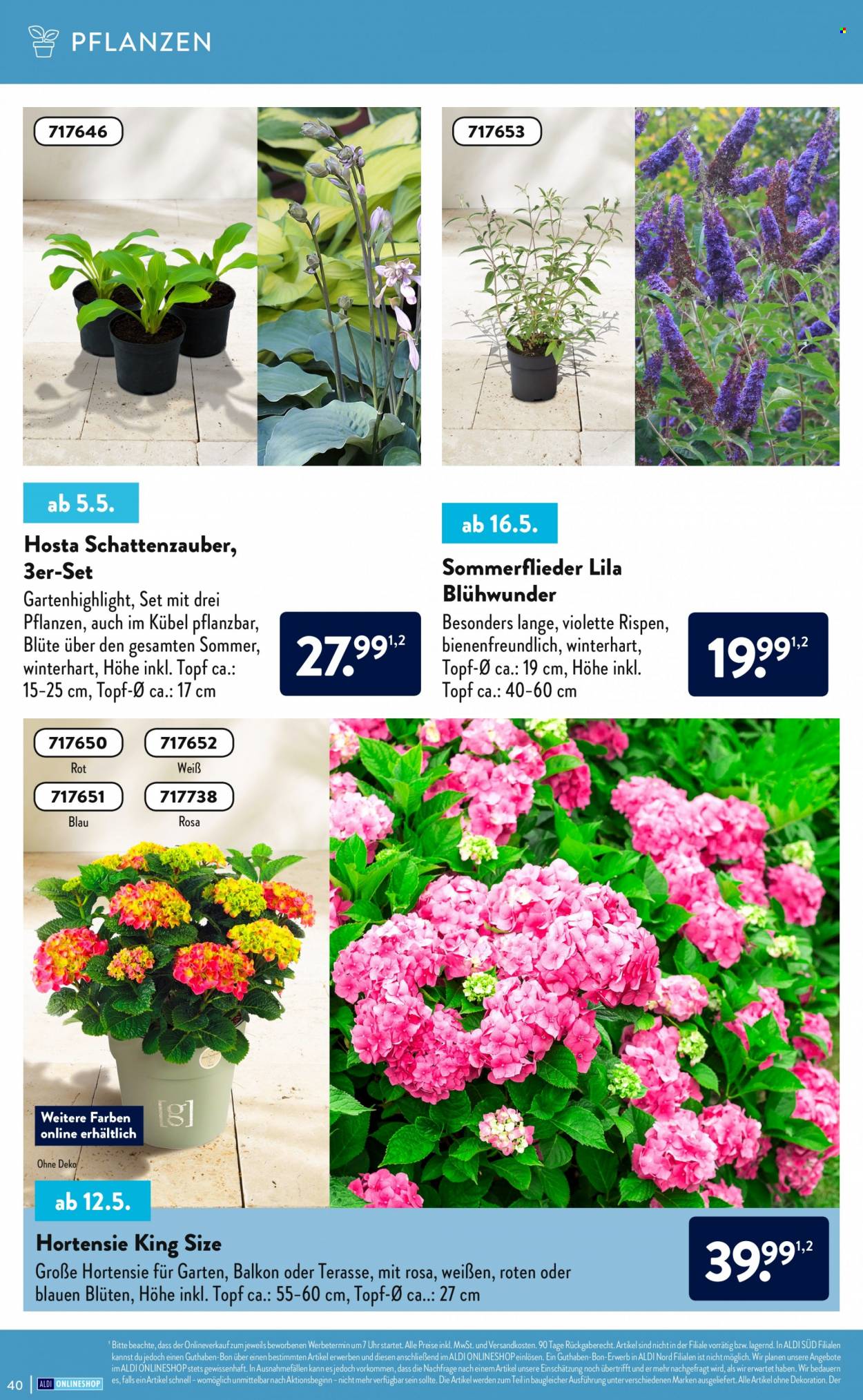 ALDI Nord Prospekte . Seite 40