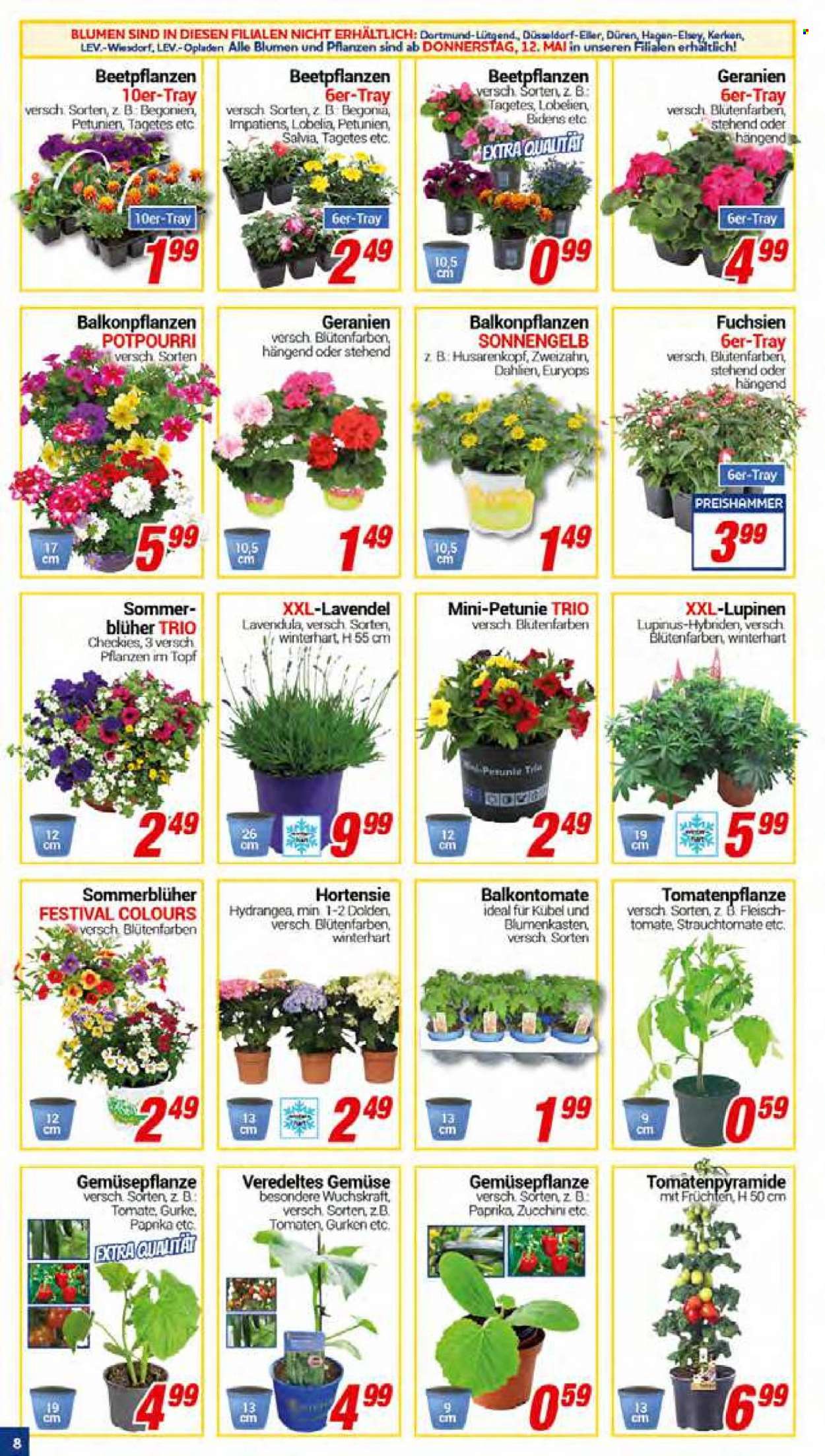 CENTERSHOP Prospekte  - 9.05.2022 - 14.05.2022. Seite 8