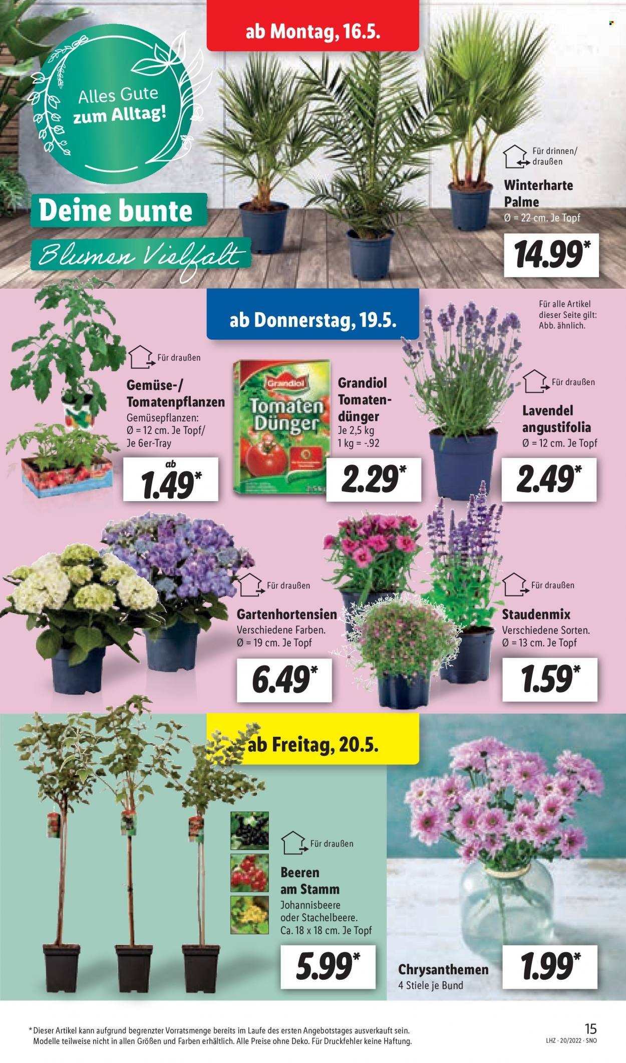 Lidl Prospekte  - 14.05.2022 - 14.05.2022. Seite 17