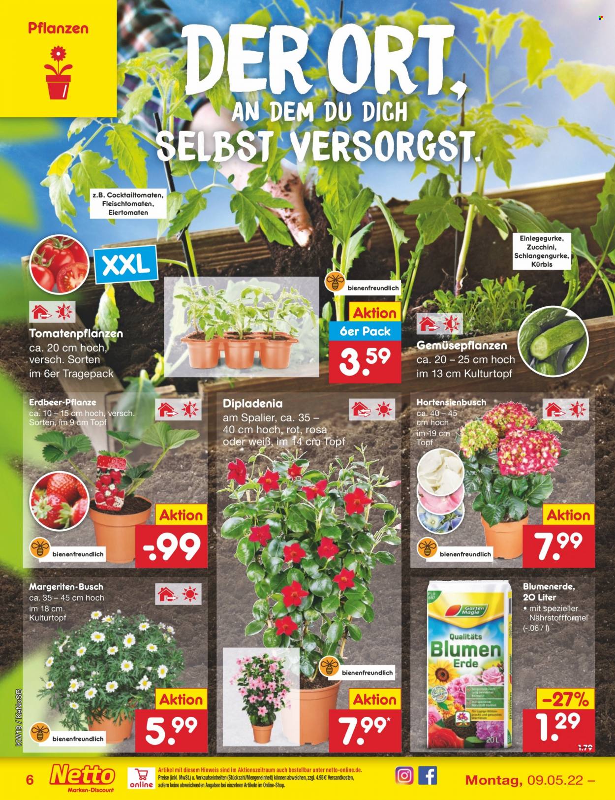 Netto Marken-Discount Prospekte  - 9.05.2022 - 14.05.2022. Seite 6