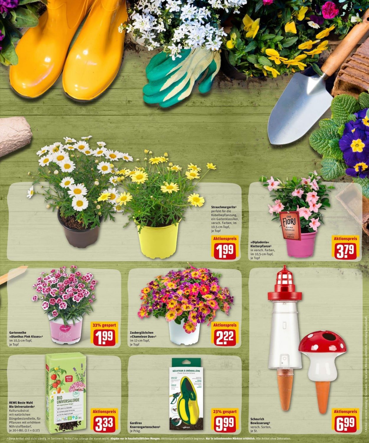 REWE Prospekte  - 9.05.2022 - 14.05.2022. Seite 7