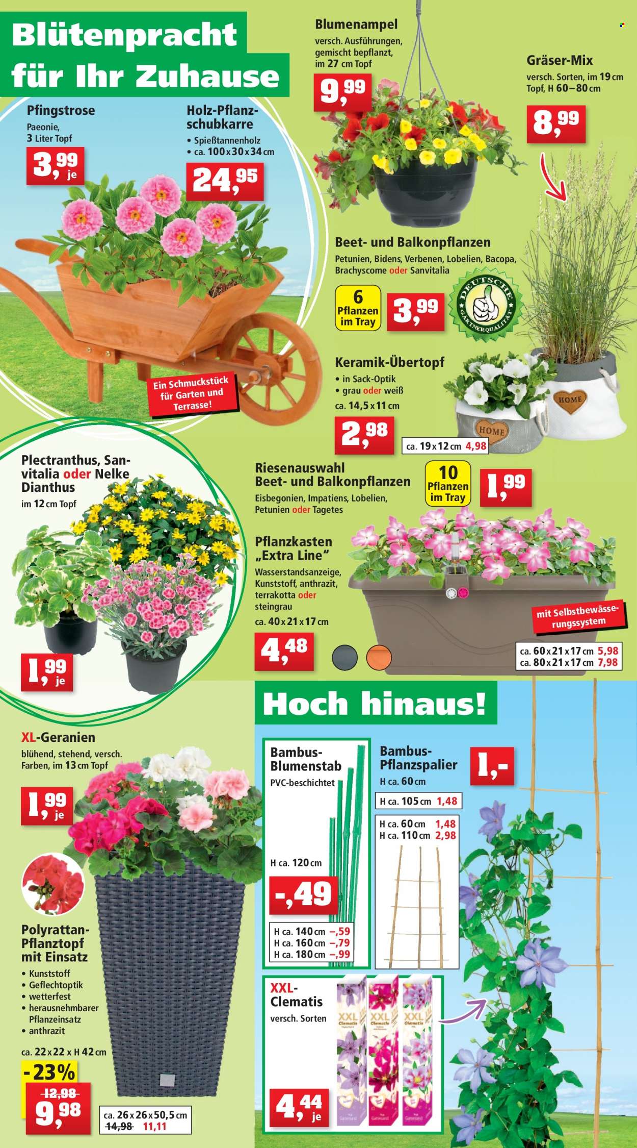 Thomas Philipps Prospekte  - 16.05.2022 - 21.05.2022. Seite 6