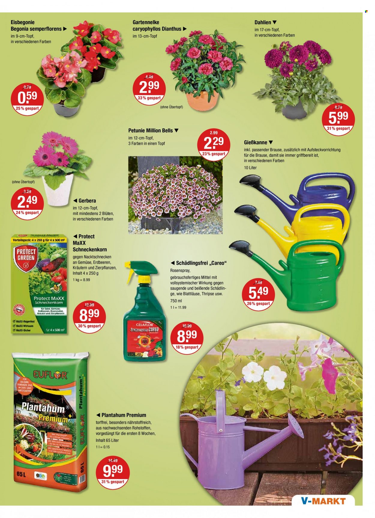 thumbnail - Prospekte V-Markt - 19.05.2022 - 25.05.2022 - Produkte in Aktion - Salat, Erdbeeren, Gießkanne, Begonia, Petunie, Pflanztopf. Seite 21.