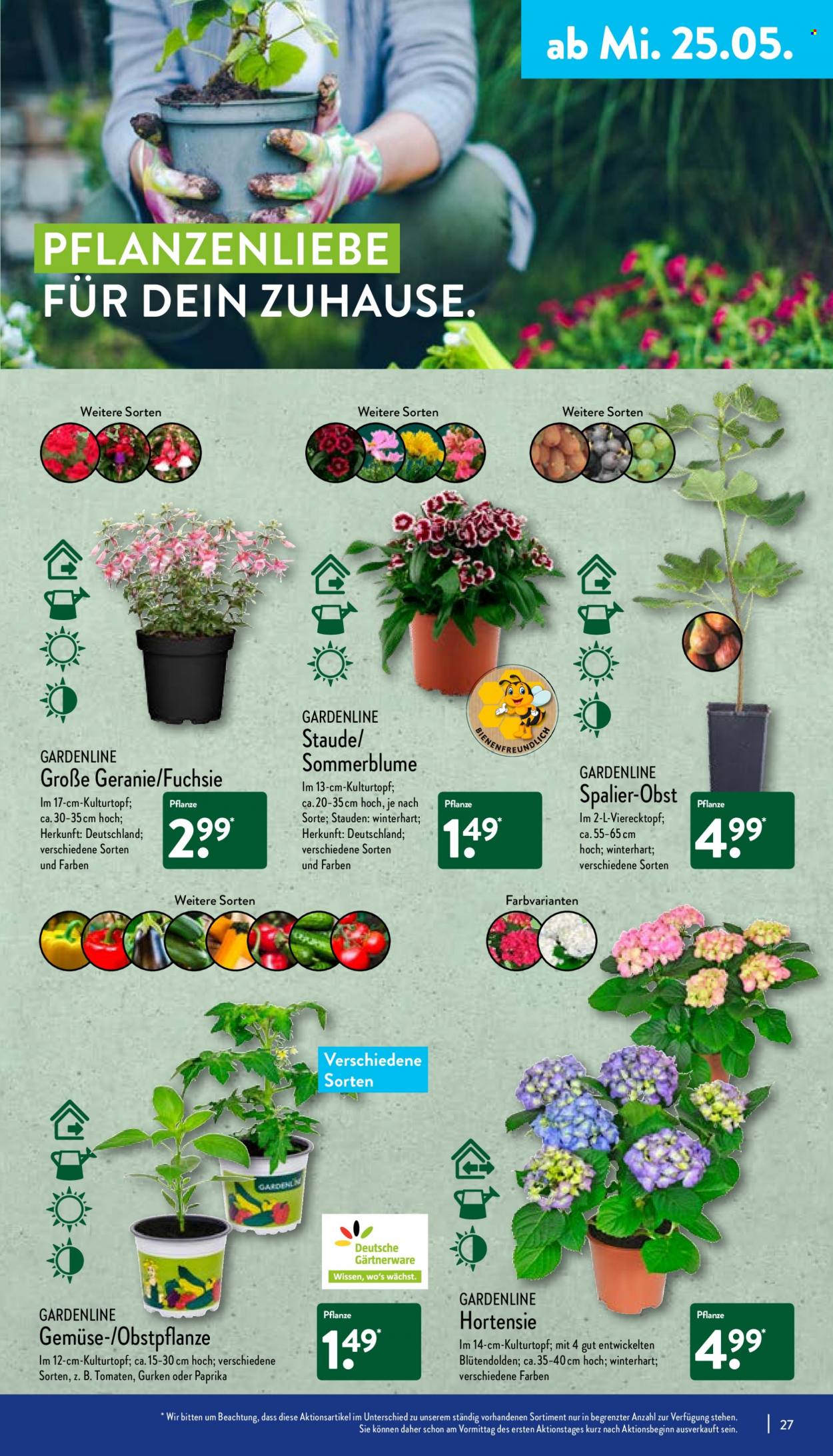 ALDI Nord Prospekte  - 23.05.2022 - 28.05.2022. Seite 27