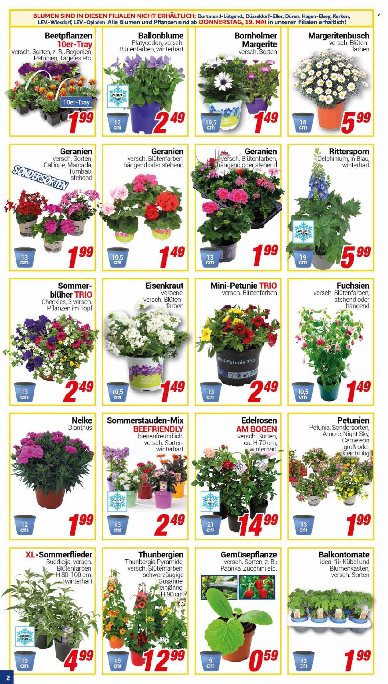 CENTERSHOP Prospekte  - 16.05.2022 - 21.05.2022. Seite 2
