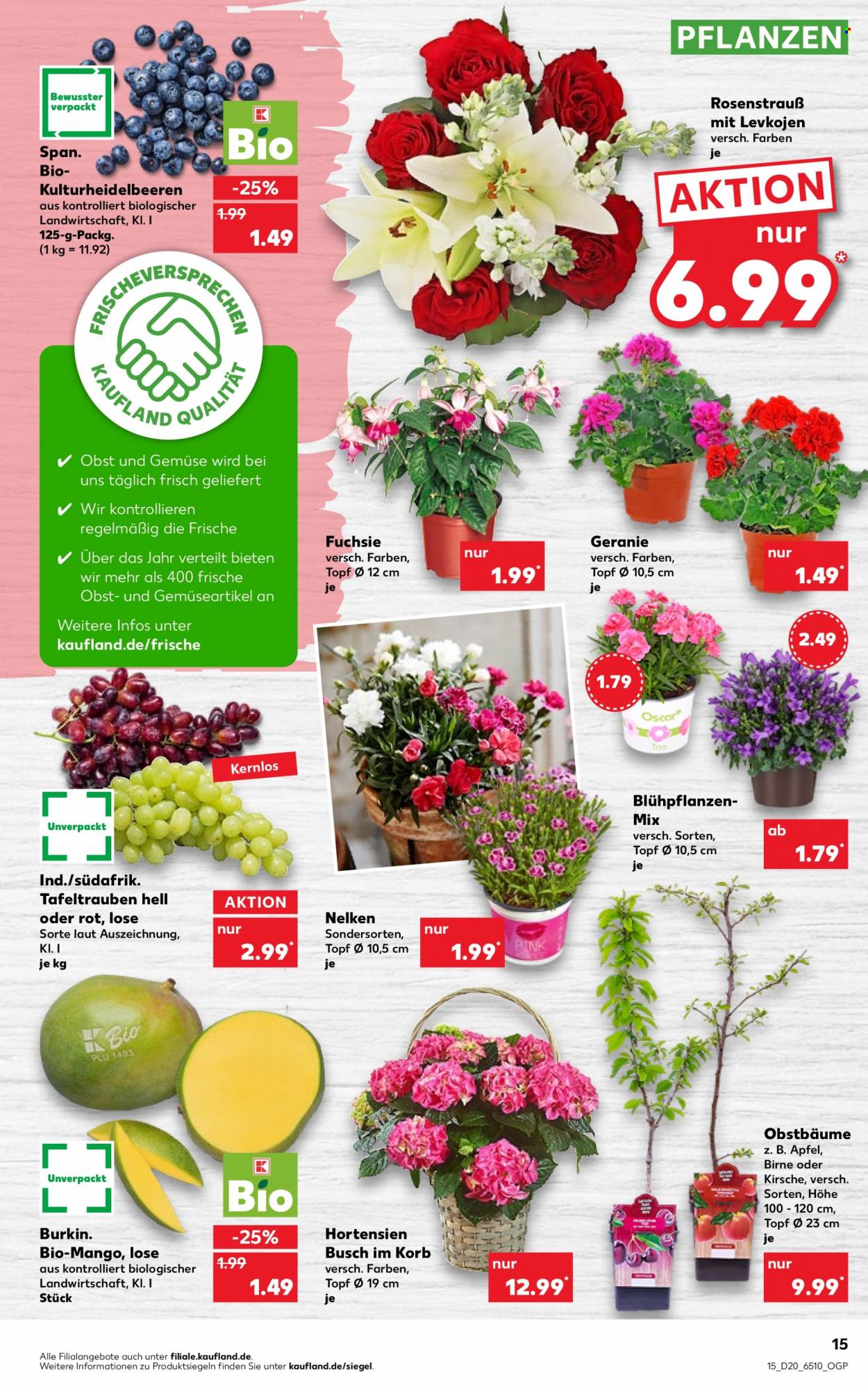 Kaufland Prospekte  - 19.05.2022 - 25.05.2022. Seite 15