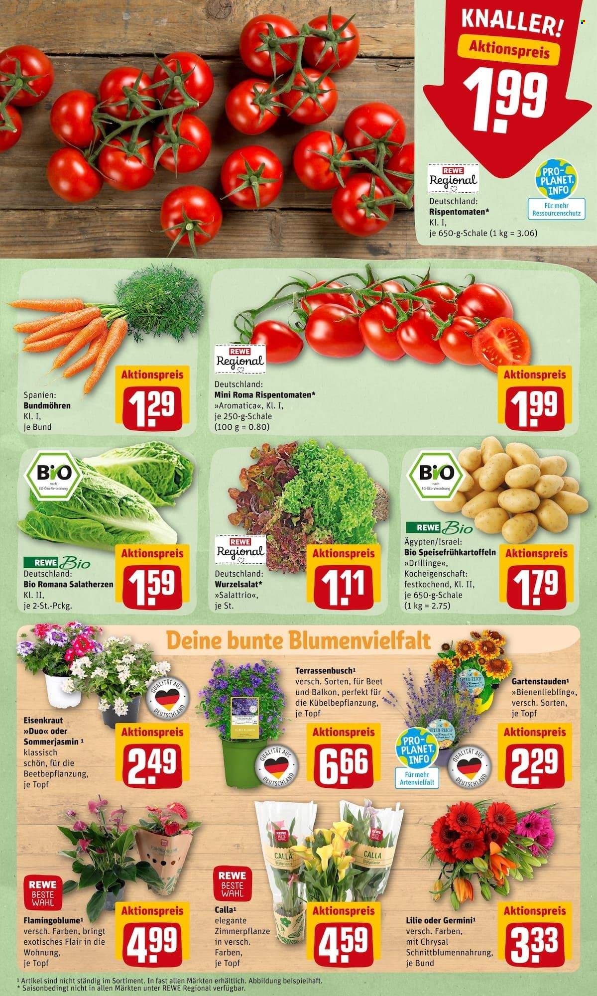 REWE Prospekte  - 16.05.2022 - 21.05.2022. Seite 5