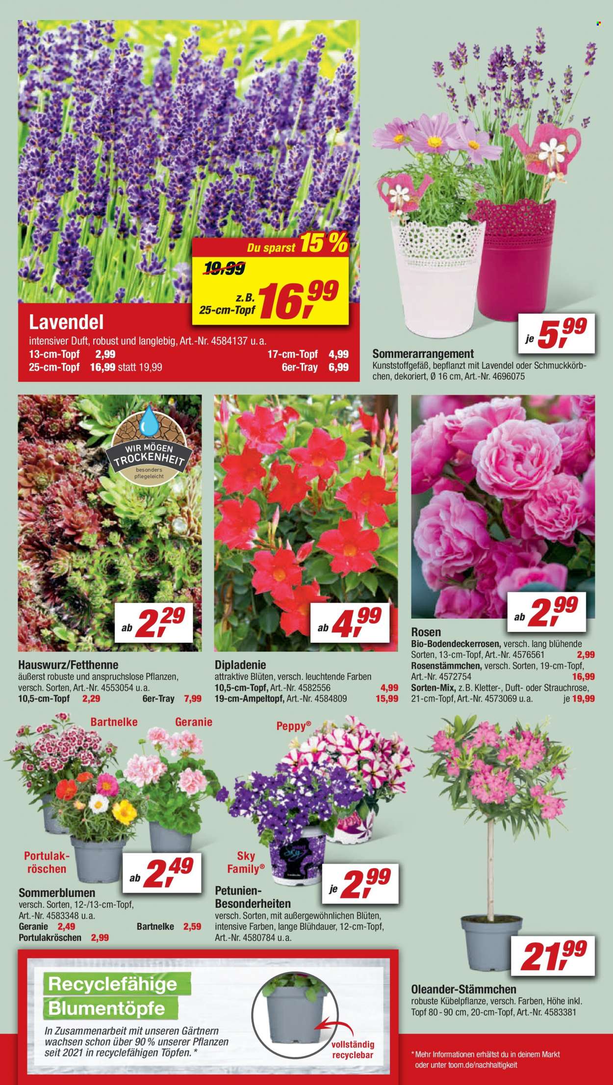 toom Baumarkt Prospekte  - 21.05.2022 - 27.05.2022. Seite 6