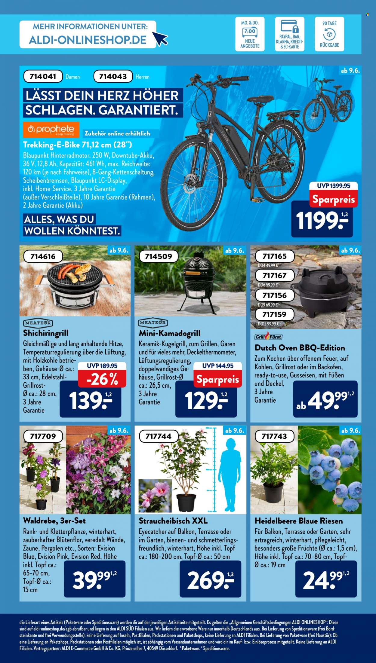 ALDI SÜD Prospekte  - 7.06.2022 - 11.06.2022. Seite 13
