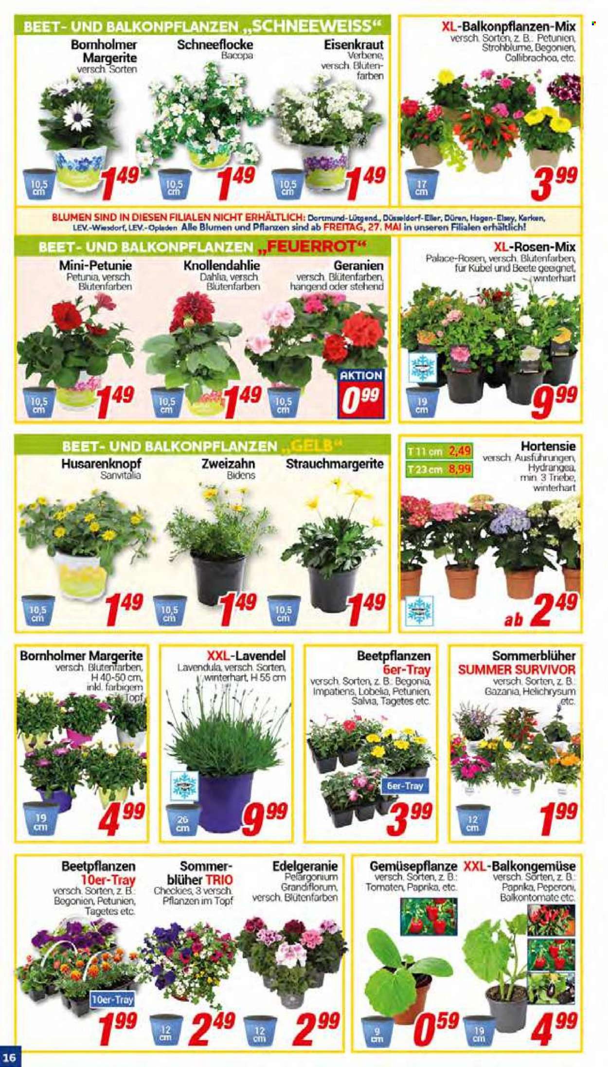 CENTERSHOP Prospekte  - 23.05.2022 - 28.05.2022. Seite 16