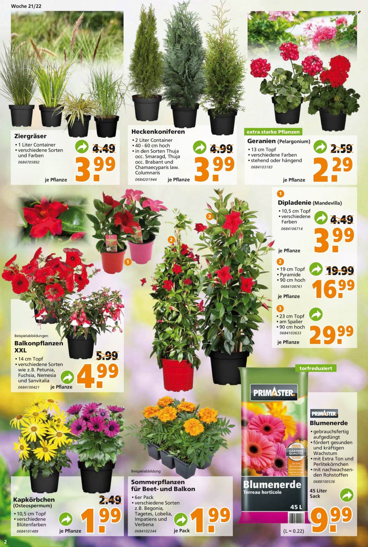 Globus Baumarkt Prospekte  - 23.05.2022 - 28.05.2022. Seite 2