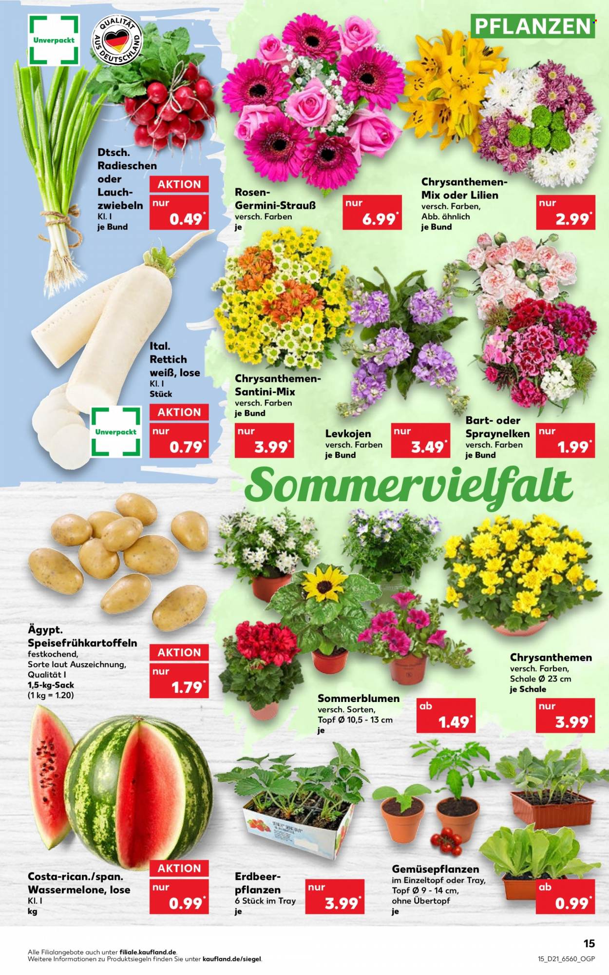 Kaufland Prospekte  - 27.05.2022 - 1.06.2022. Seite 15