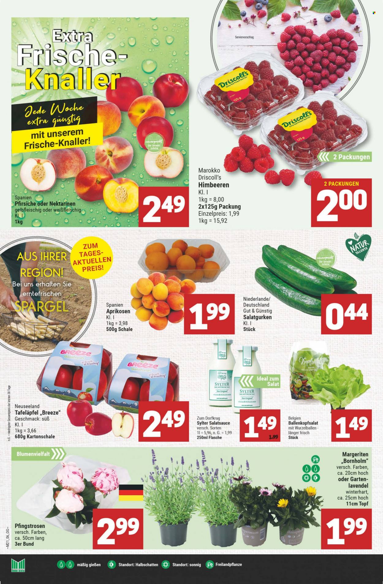 Marktkauf Prospekte  - 23.05.2022 - 28.05.2022. Seite 8
