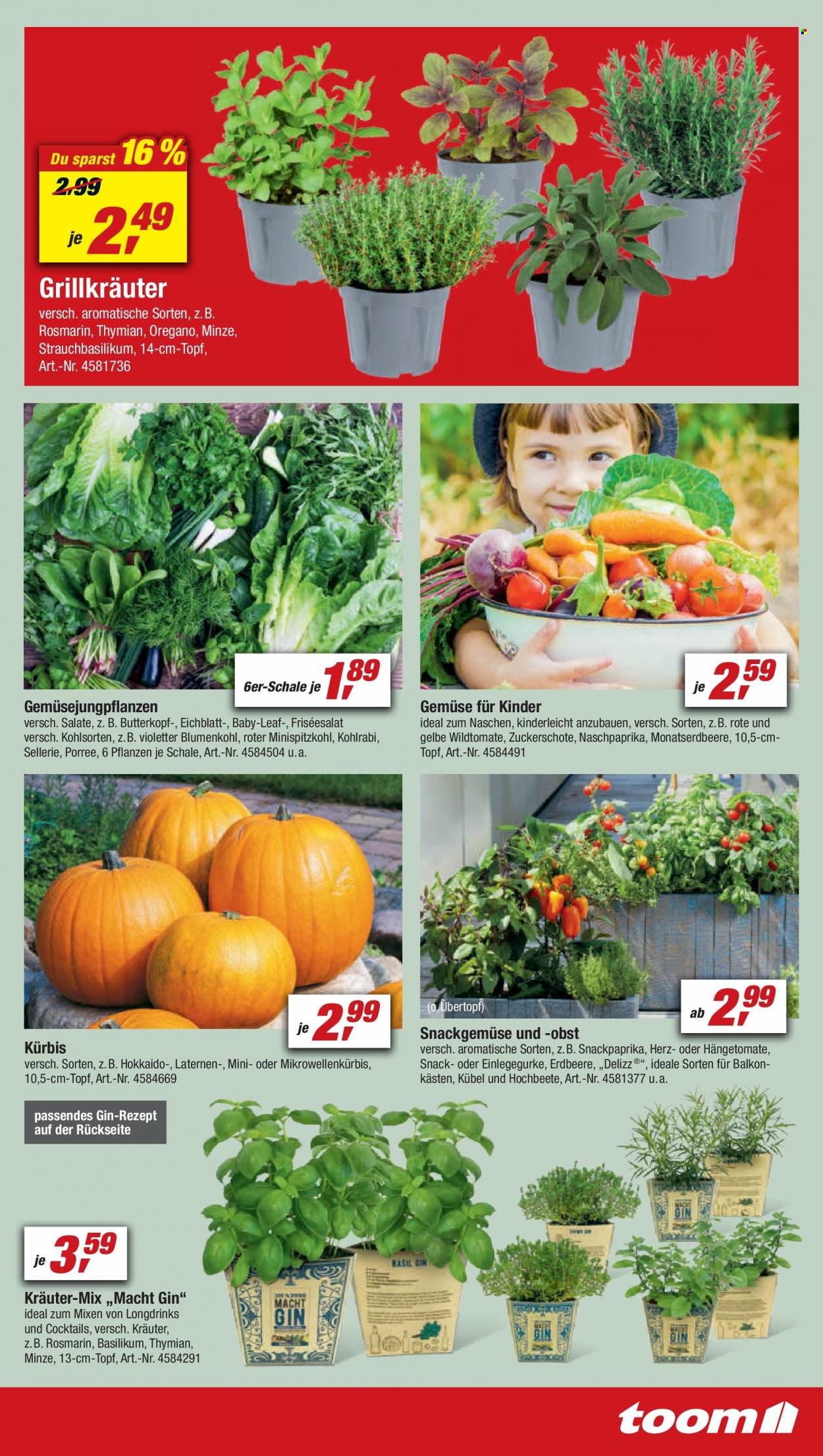toom Baumarkt Prospekte  - 28.05.2022 - 3.06.2022. Seite 5
