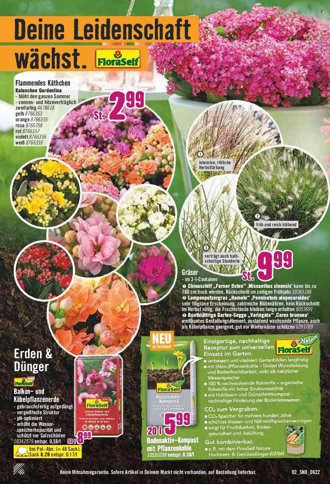 Hornbach Prospekte  - 26.05.2022 - 22.06.2022. Seite 2