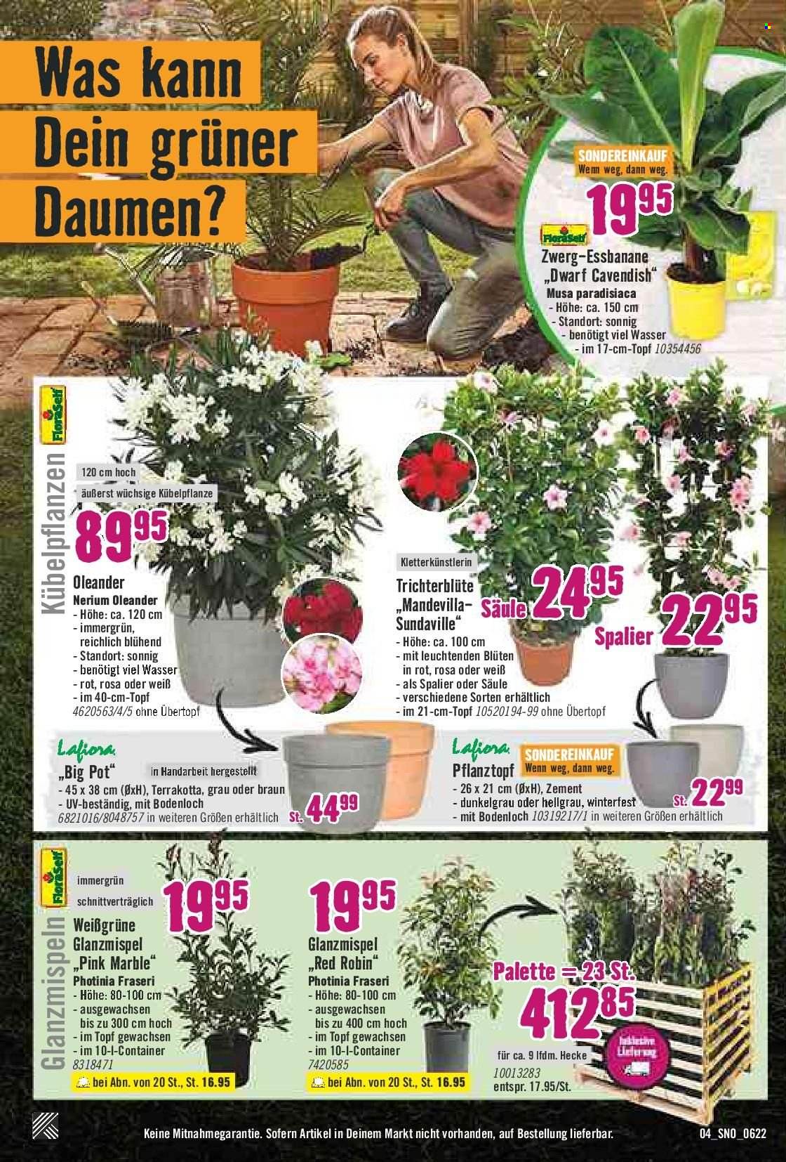 Hornbach Prospekte  - 26.05.2022 - 22.06.2022. Seite 4