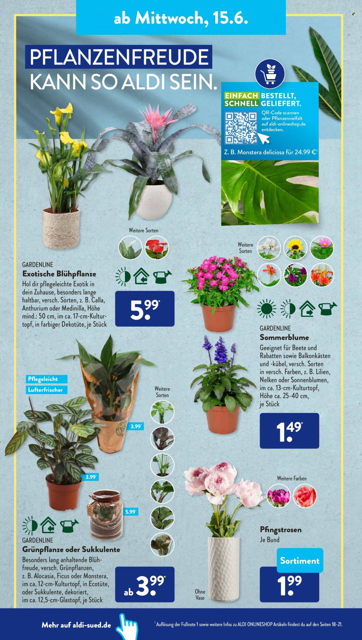 ALDI SÜD Prospekte  - 13.06.2022 - 18.06.2022. Seite 16