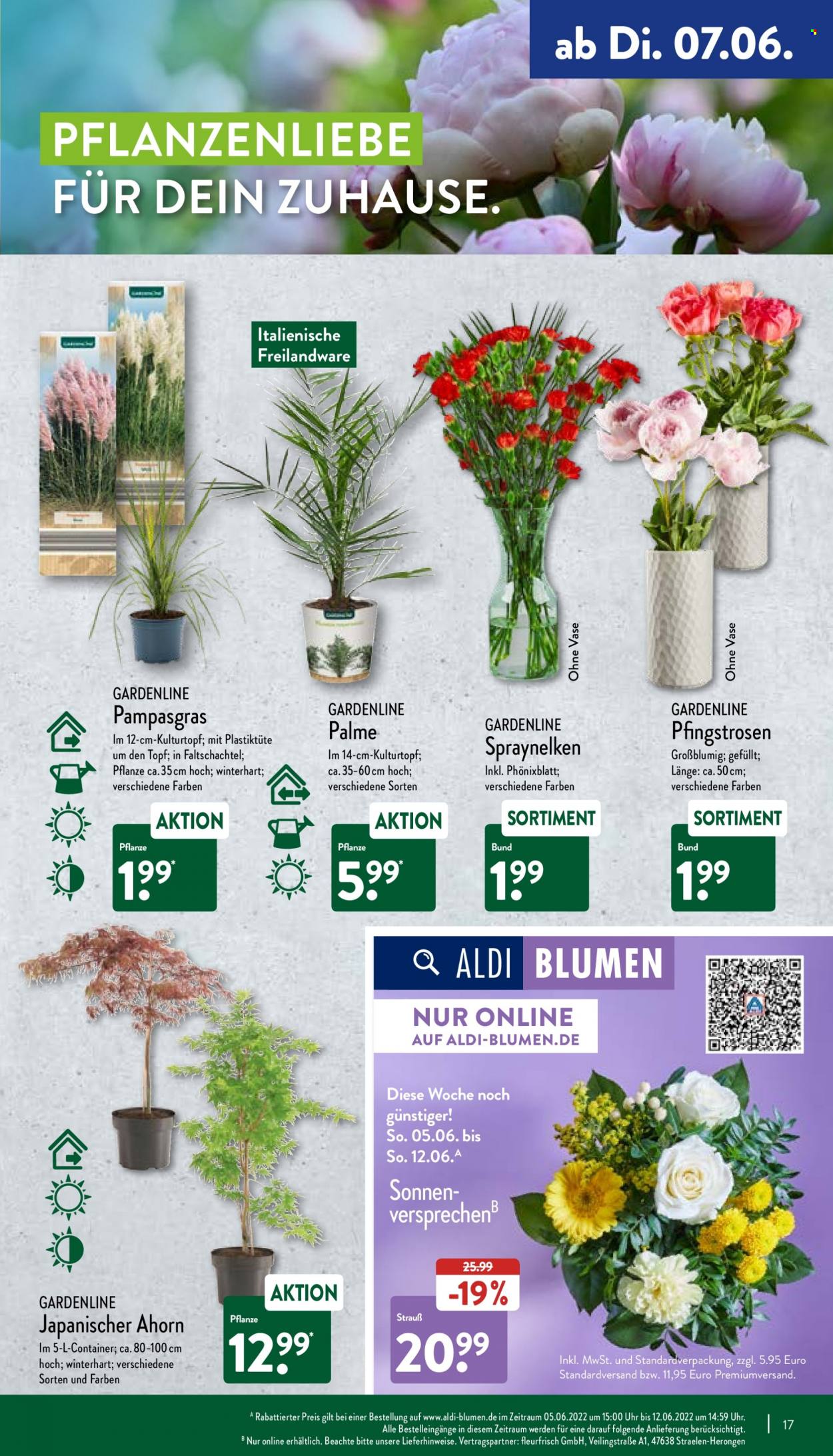ALDI Nord Prospekte  - 7.06.2022 - 11.06.2022. Seite 17