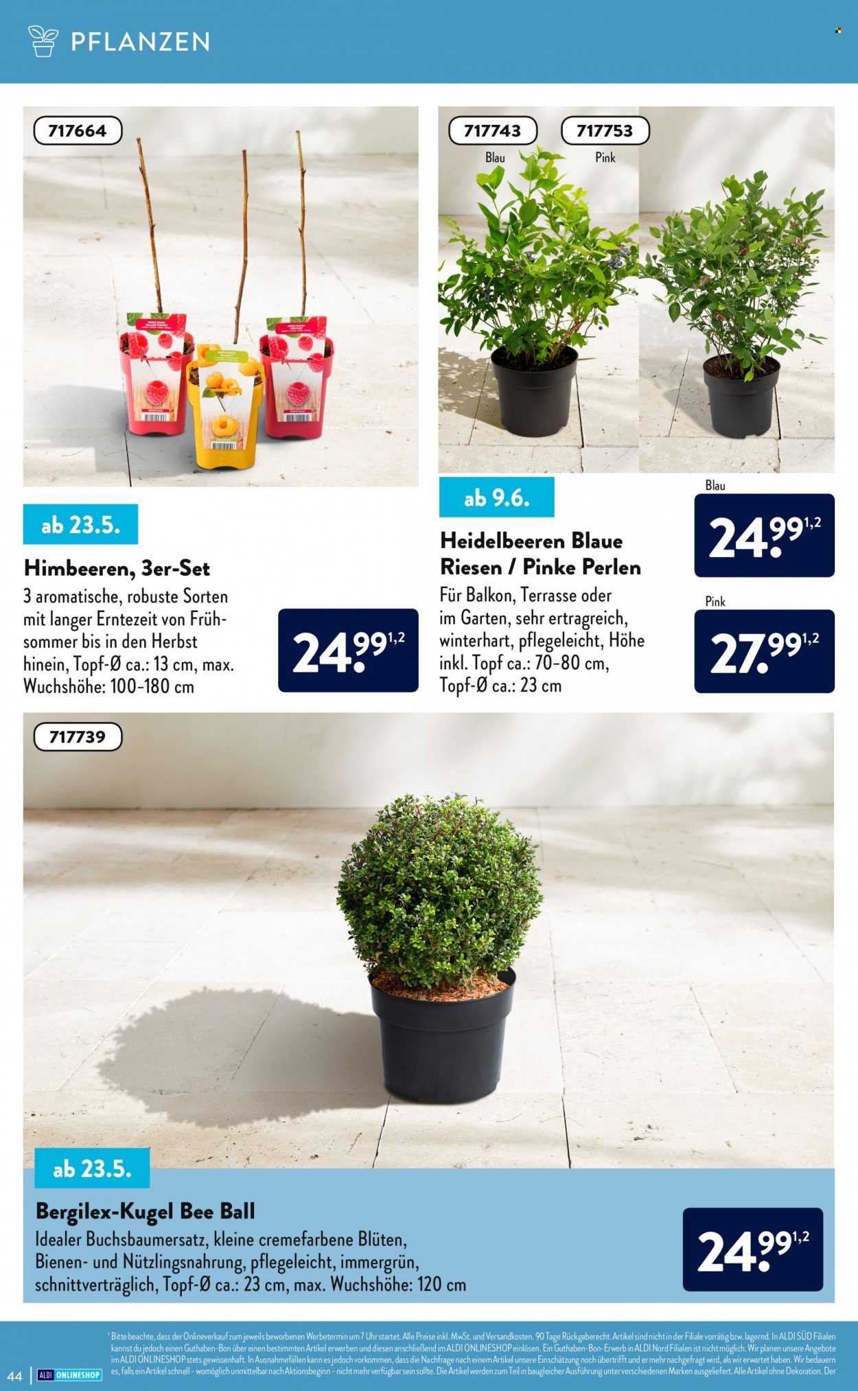 ALDI Nord Prospekte . Seite 44