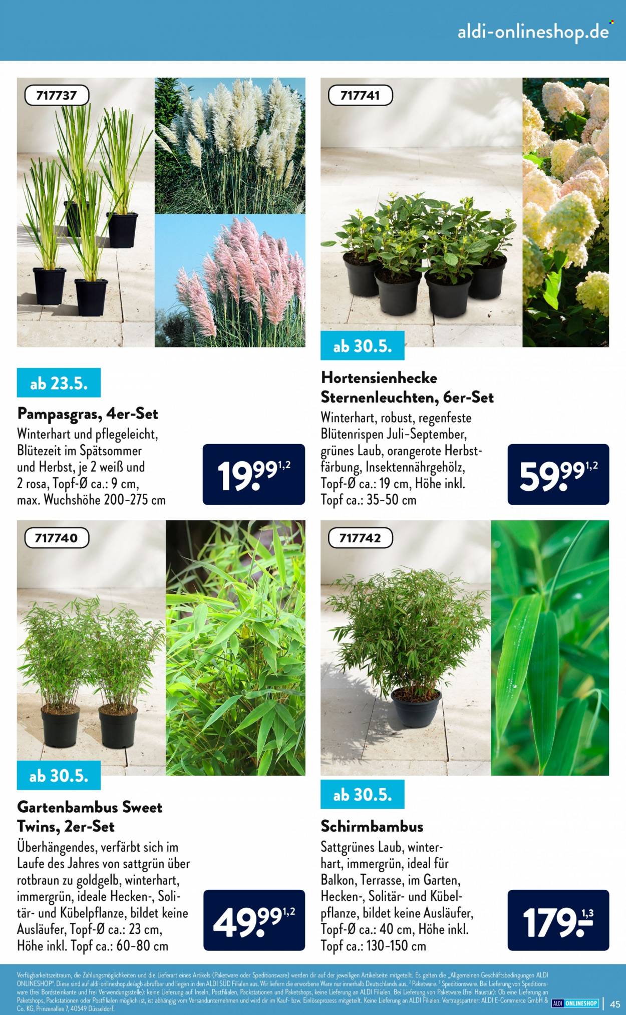 ALDI Nord Prospekte . Seite 45