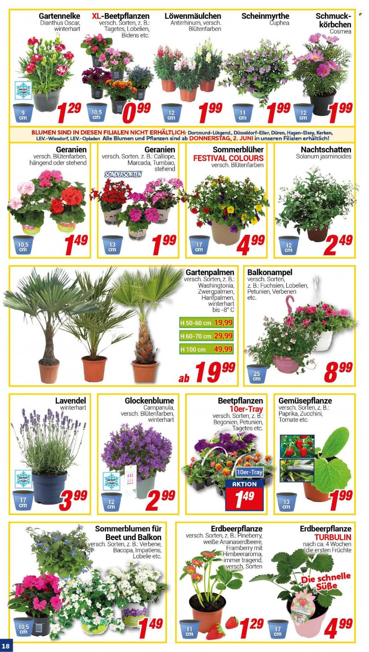 CENTERSHOP Prospekte  - 30.05.2022 - 4.06.2022. Seite 18