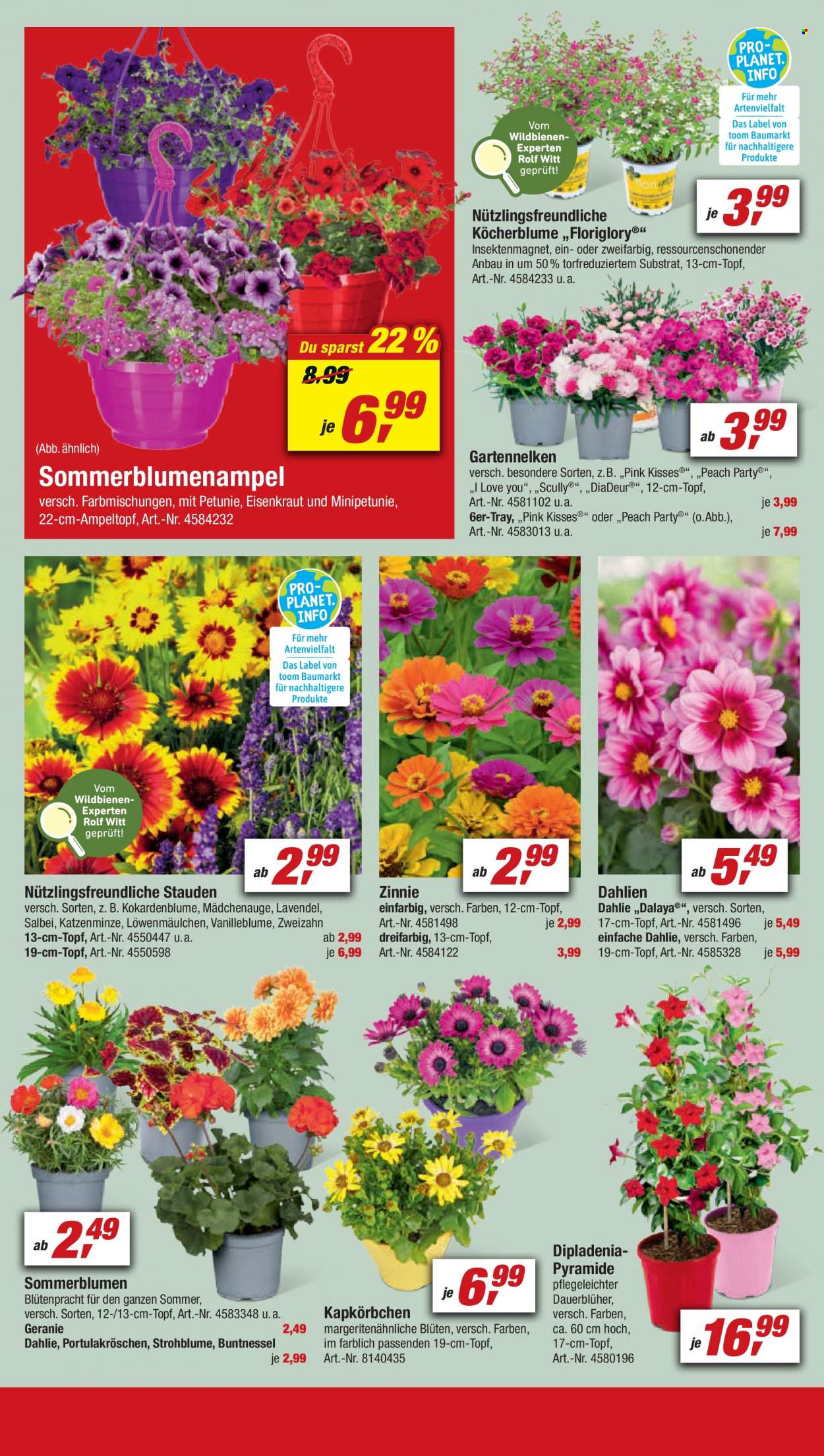 toom Baumarkt Prospekte  - 4.06.2022 - 10.06.2022. Seite 4