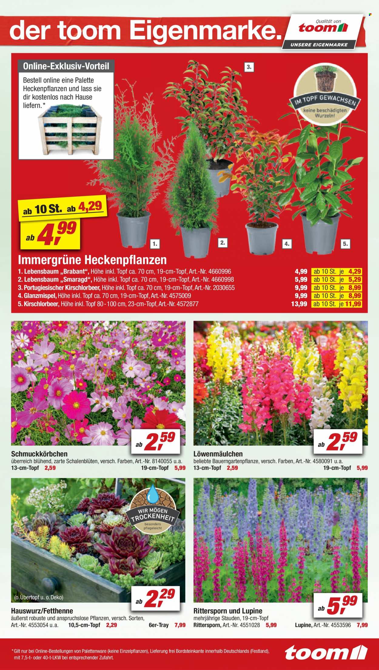 toom Baumarkt Prospekte  - 11.06.2022 - 17.06.2022. Seite 7