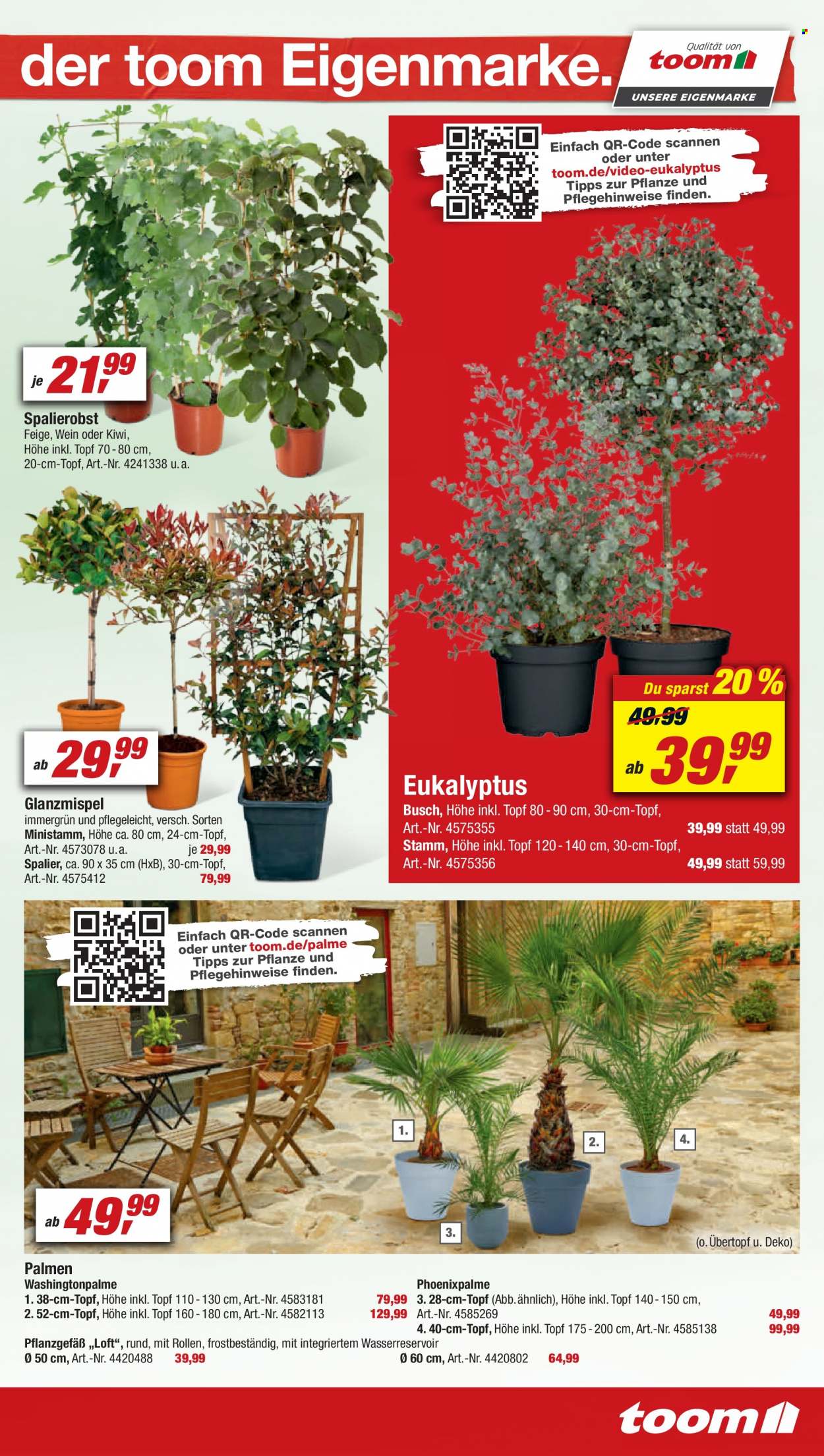 toom Baumarkt Prospekte  - 11.06.2022 - 17.06.2022. Seite 11