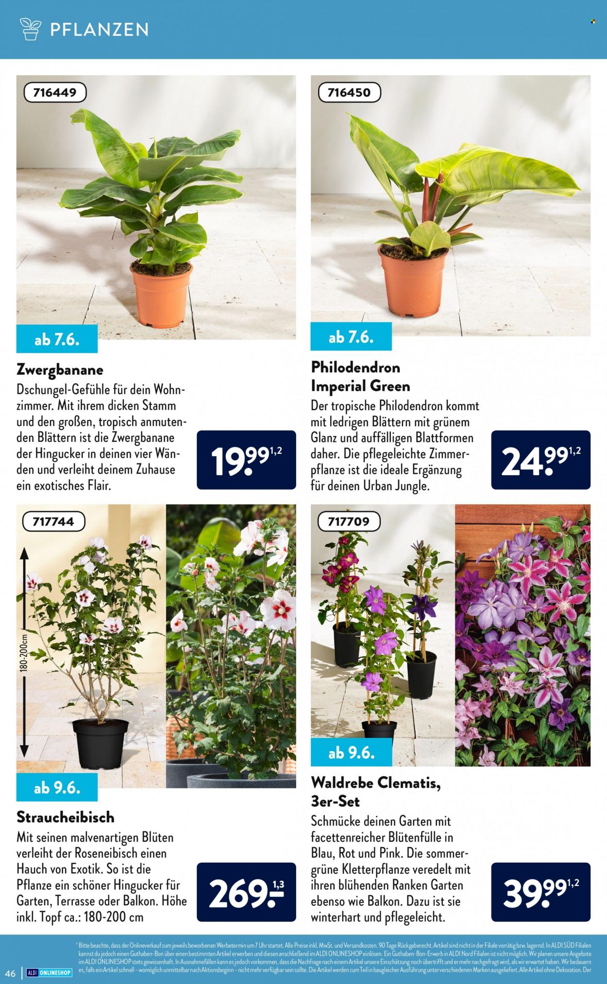 ALDI Nord Prospekte . Seite 46