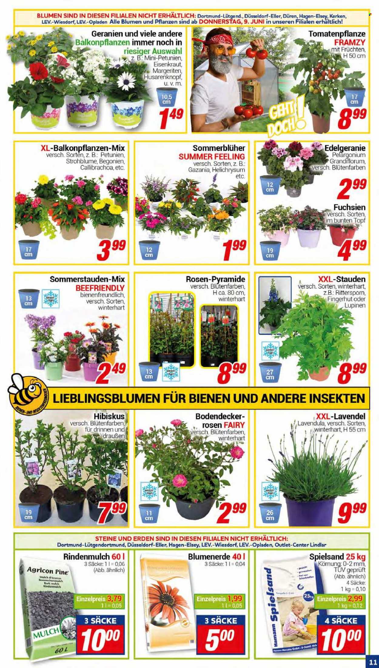 CENTERSHOP Prospekte  - 7.06.2022 - 11.06.2022. Seite 11