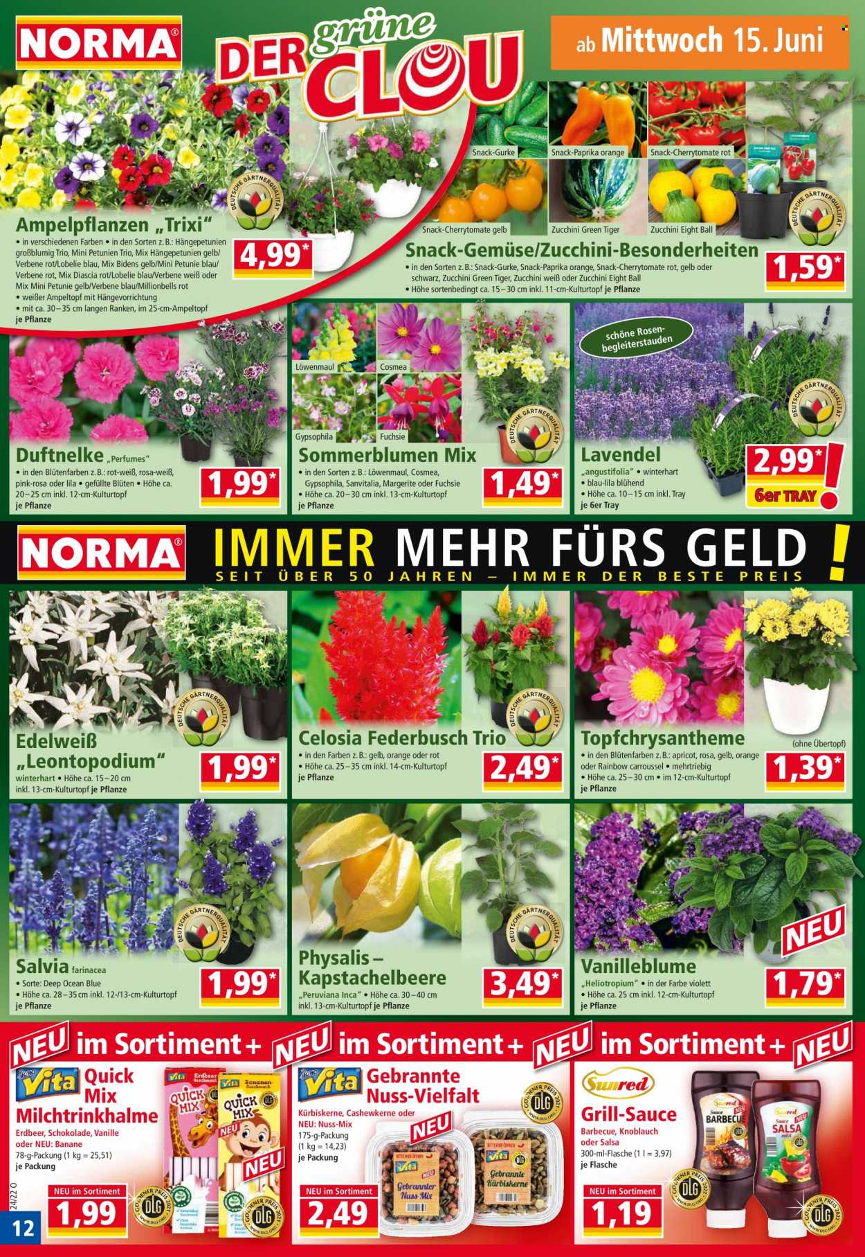 Norma Prospekte  - 13.06.2022 - 19.06.2022. Seite 12