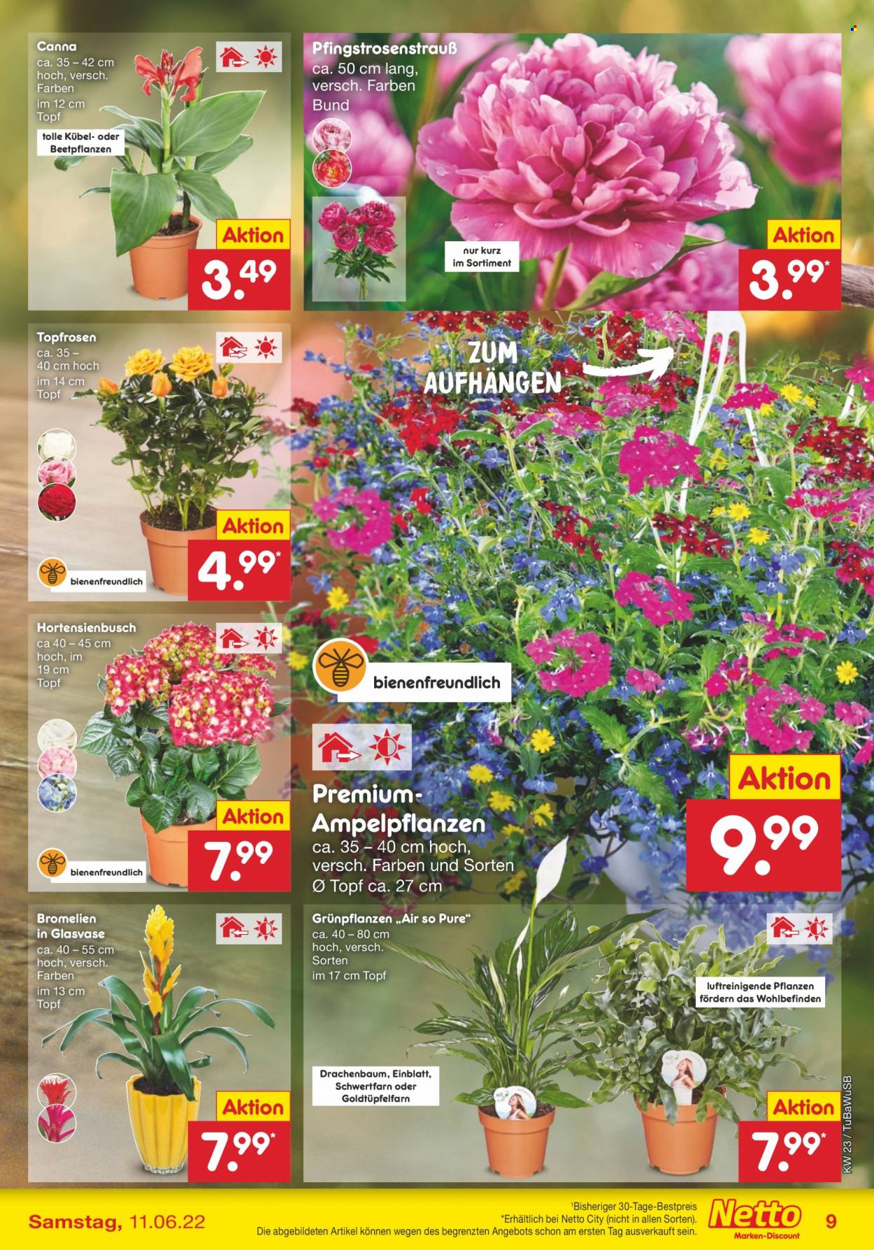 Netto Marken-Discount Prospekte  - 7.06.2022 - 11.06.2022. Seite 9