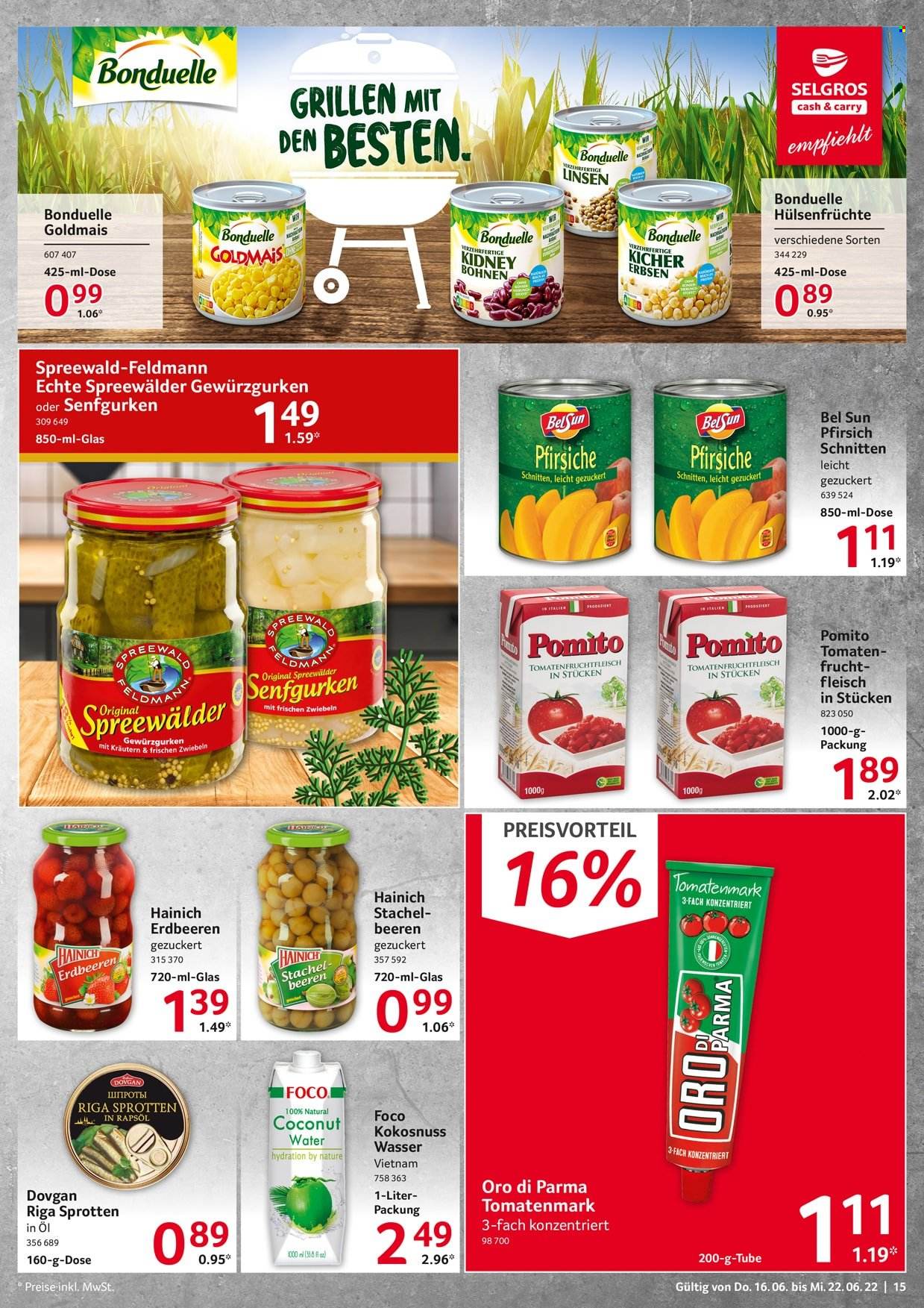 Selgros Prospekte  - 16.06.2022 - 22.06.2022. Seite 15