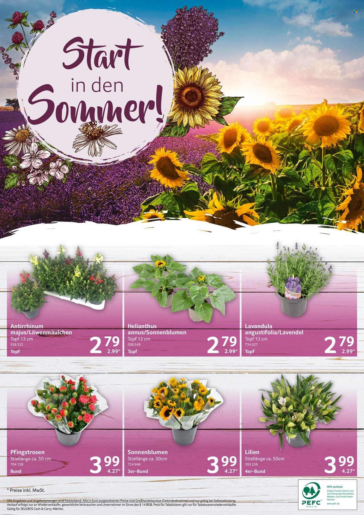 Selgros Prospekte  - 16.06.2022 - 22.06.2022. Seite 24