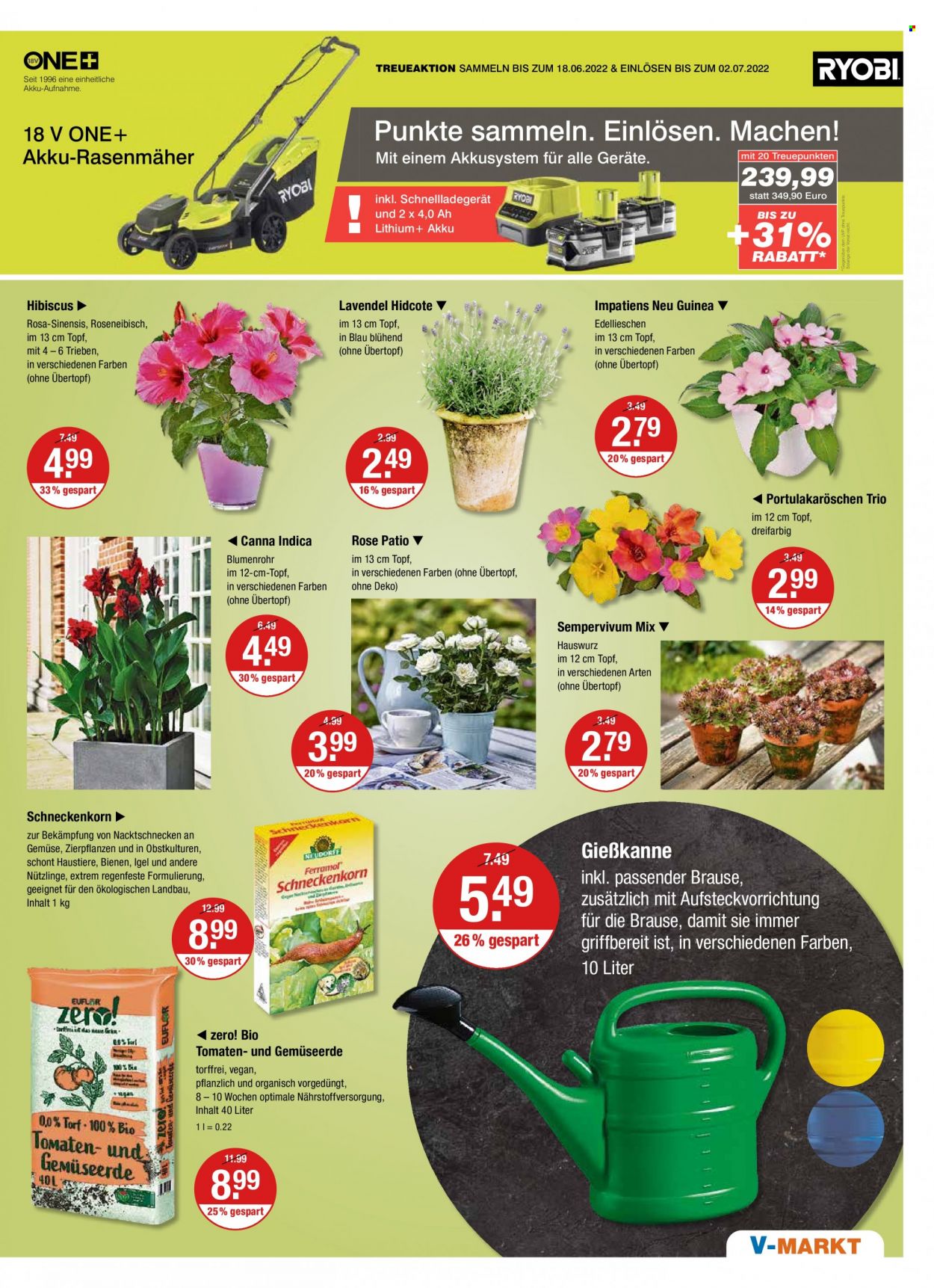V-Markt Prospekte  - 17.06.2022 - 22.06.2022. Seite 17
