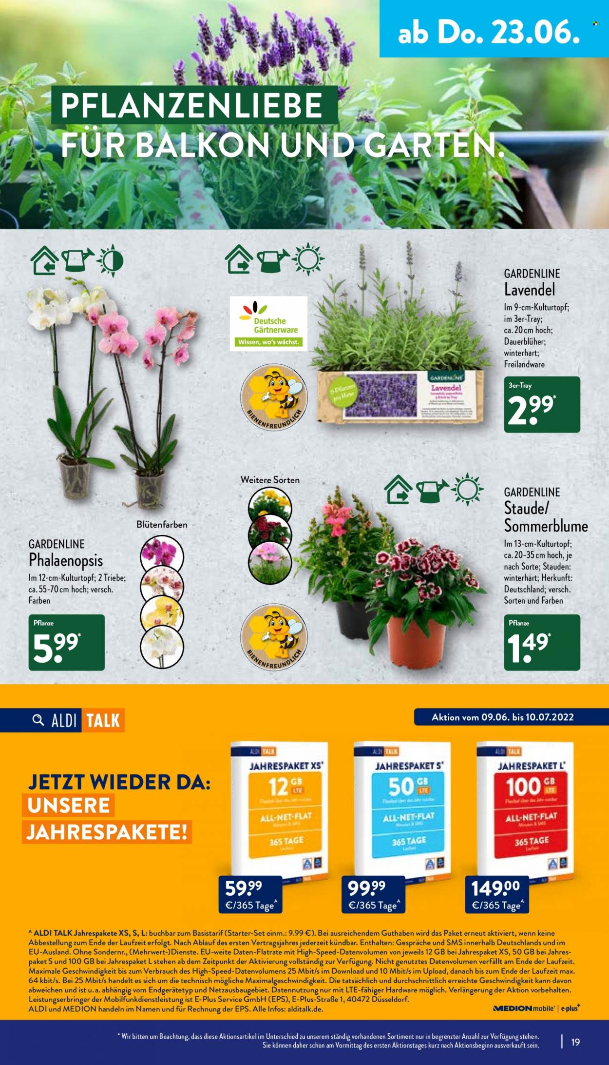 ALDI Nord Prospekte  - 20.06.2022 - 25.06.2022. Seite 19